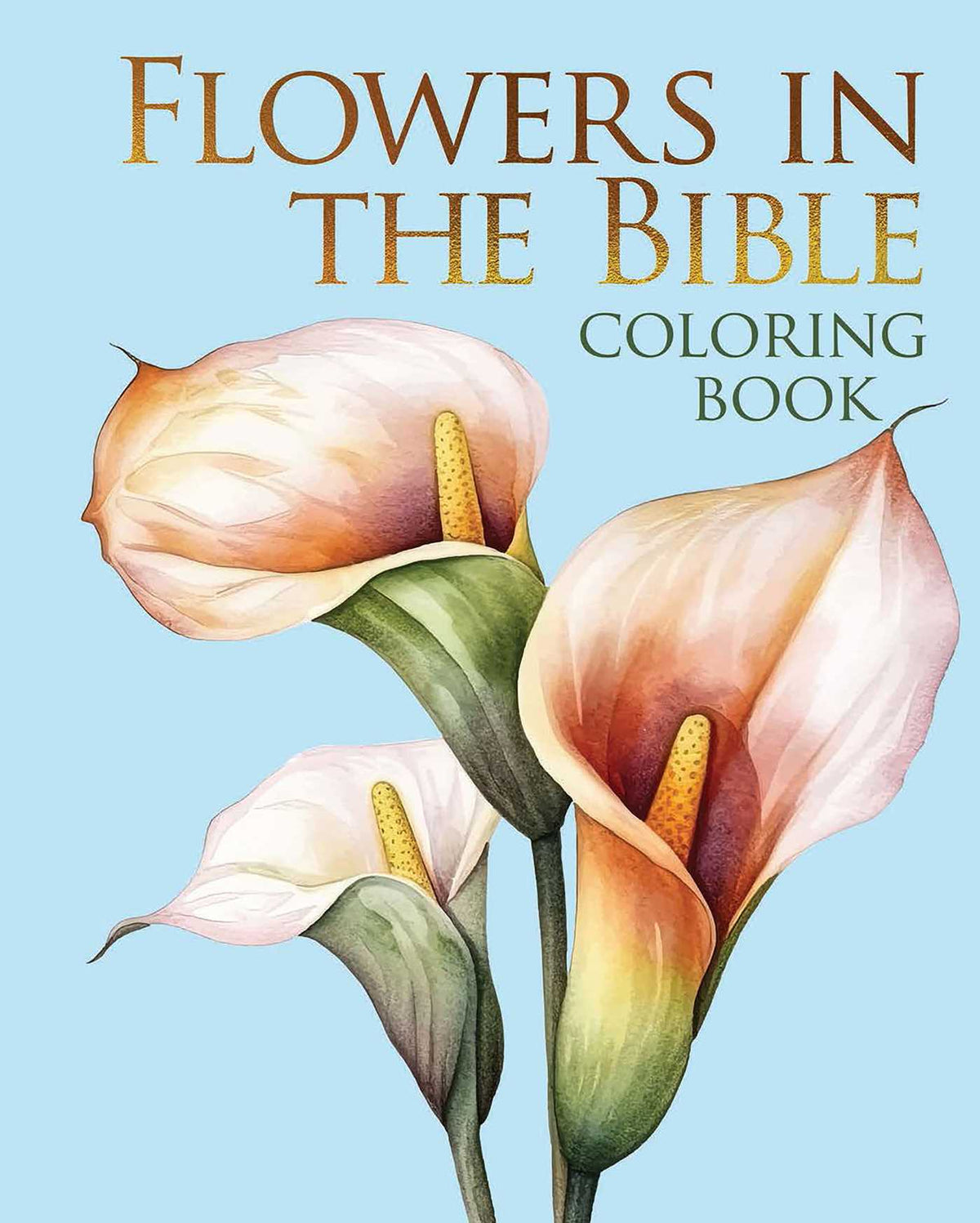 Flowers in the Bible Coloring Book
