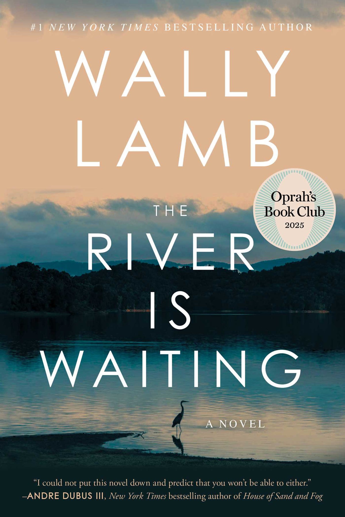 River Is Waiting (Oprah's Book Club): A Novel