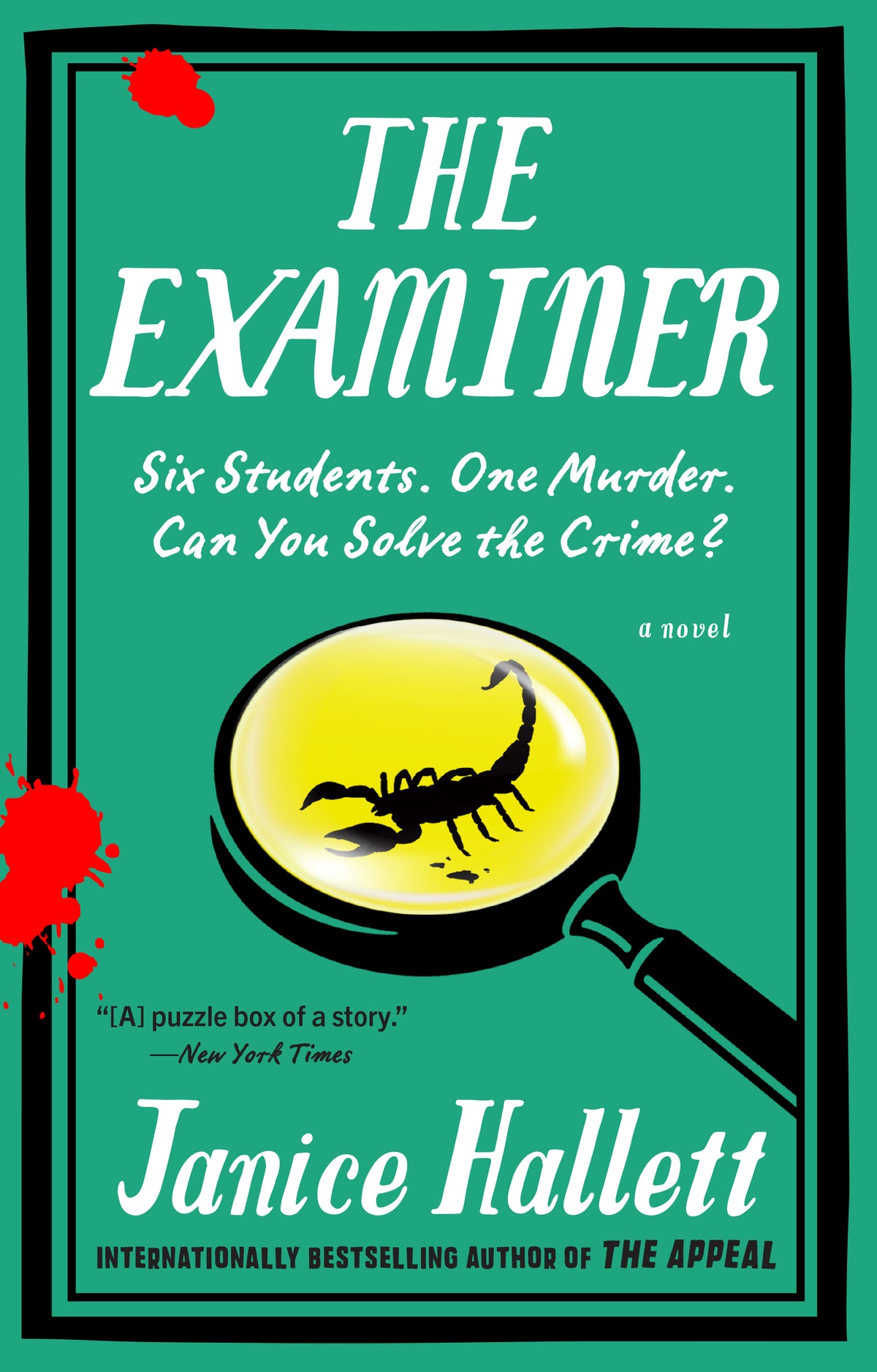 Examiner: A Novel
