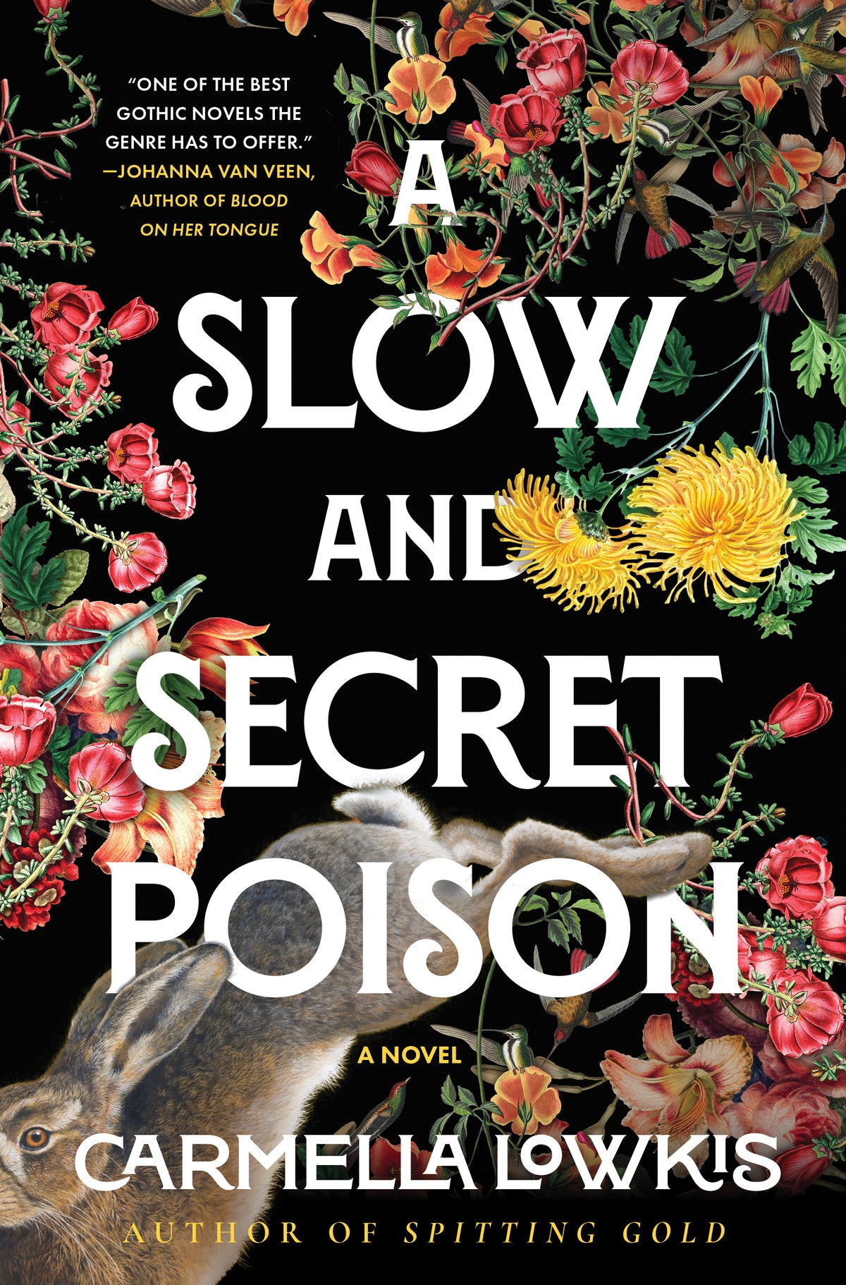 Slow and Secret Poison: A Novel