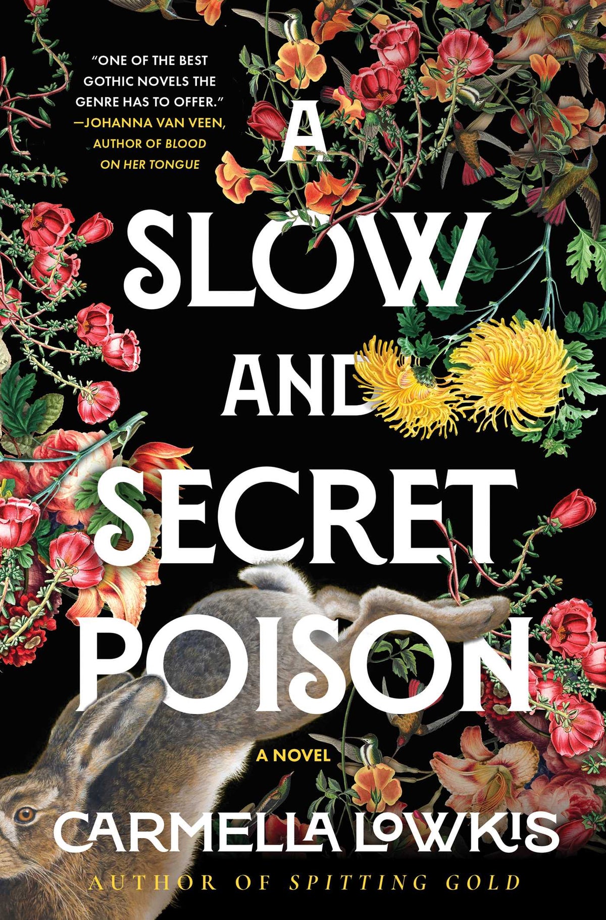 Slow and Secret Poison: A Novel