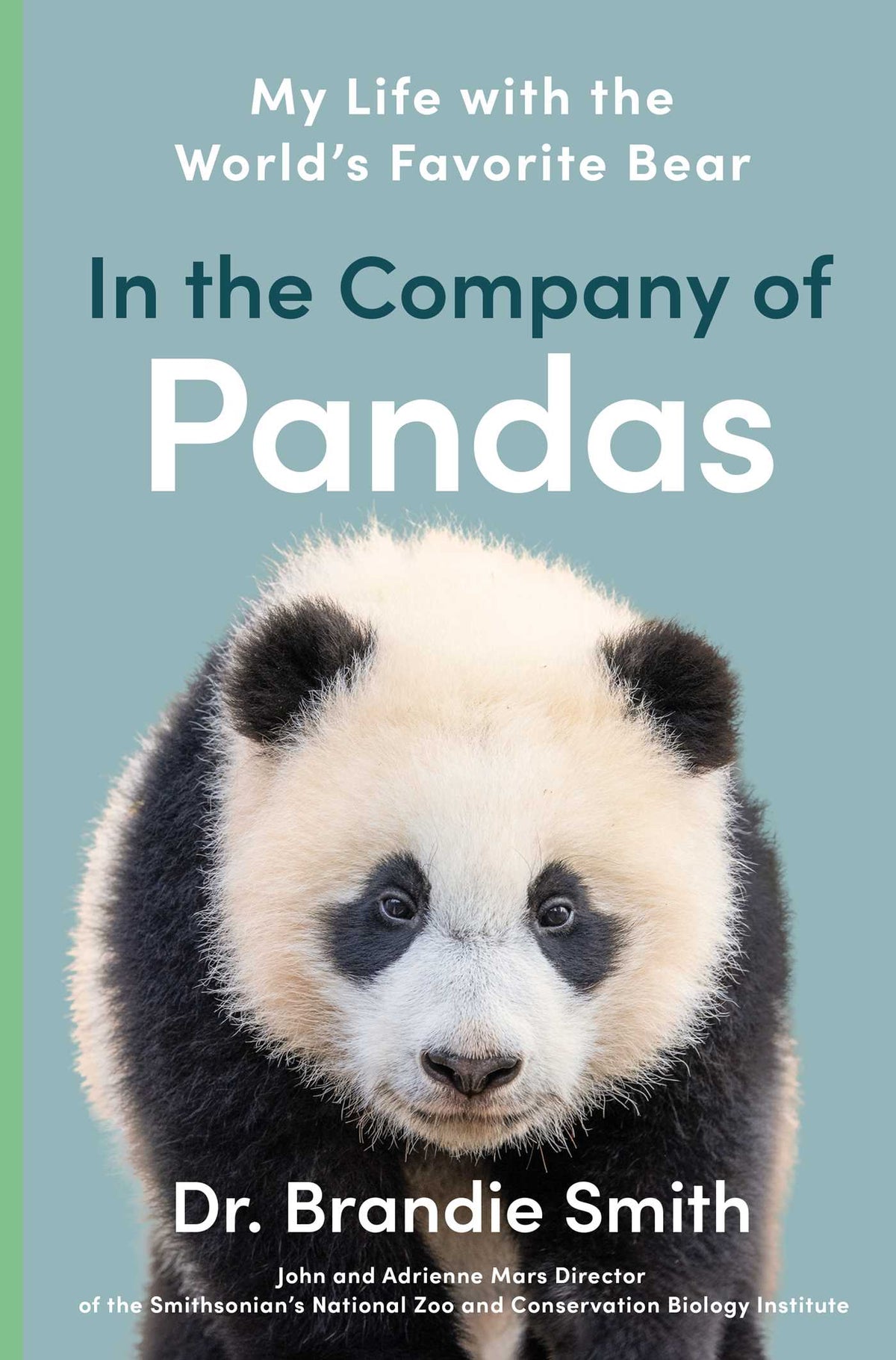 In the Company of Pandas