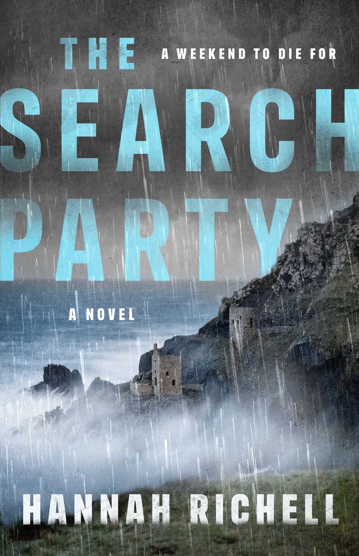 Search Party: A Novel