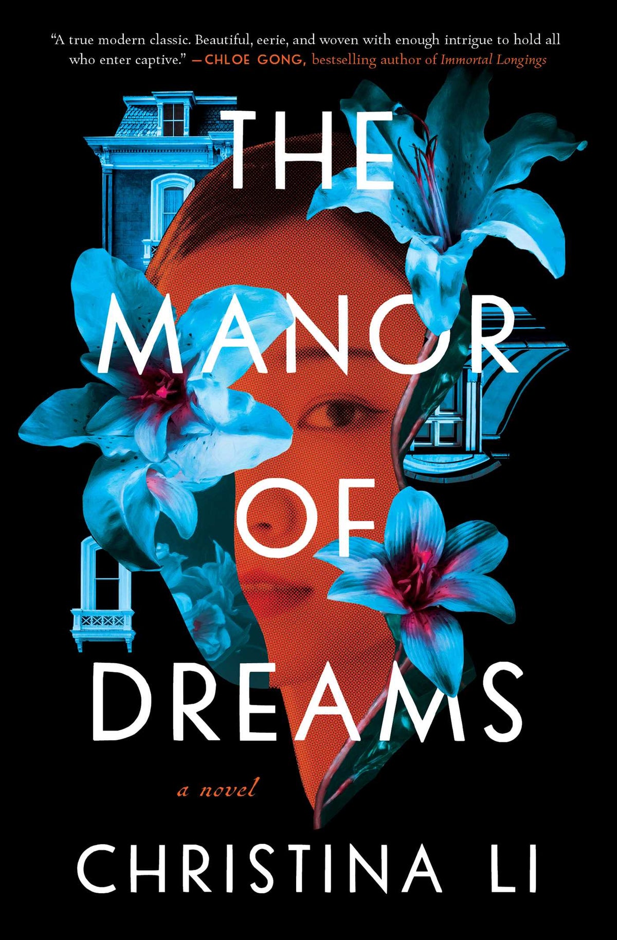 Manor of Dreams: A Novel