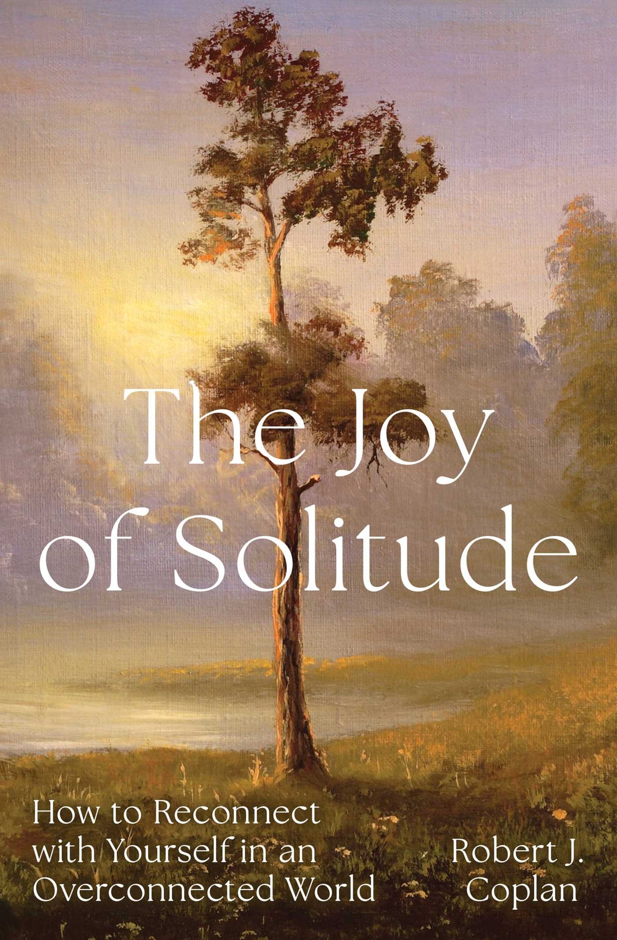 Joy of Solitude: How to Reconnect with Yourself in an Overconnected World
