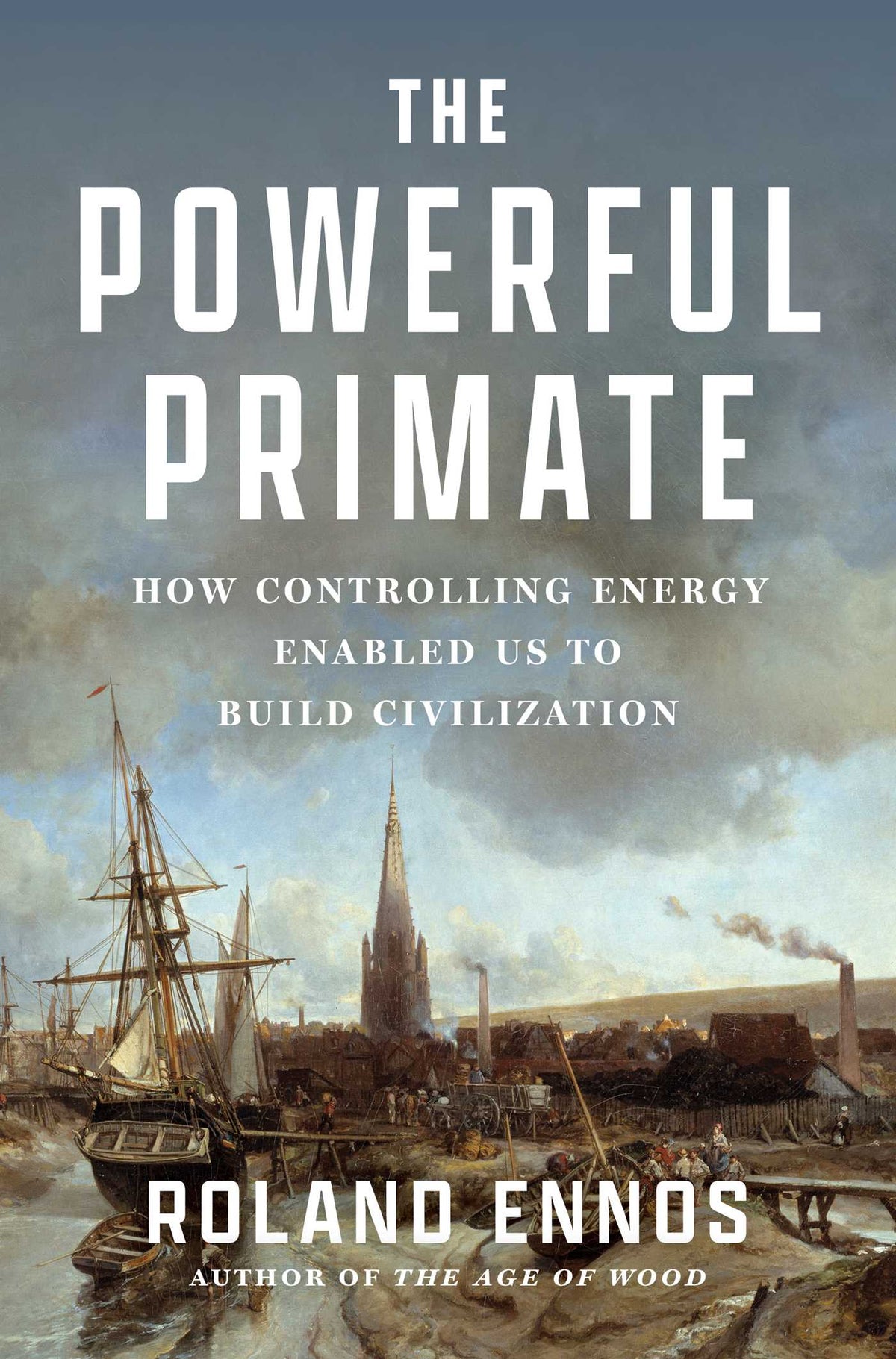 Powerful Primate: How Controlling Energy Enabled Us to Build Civilization
