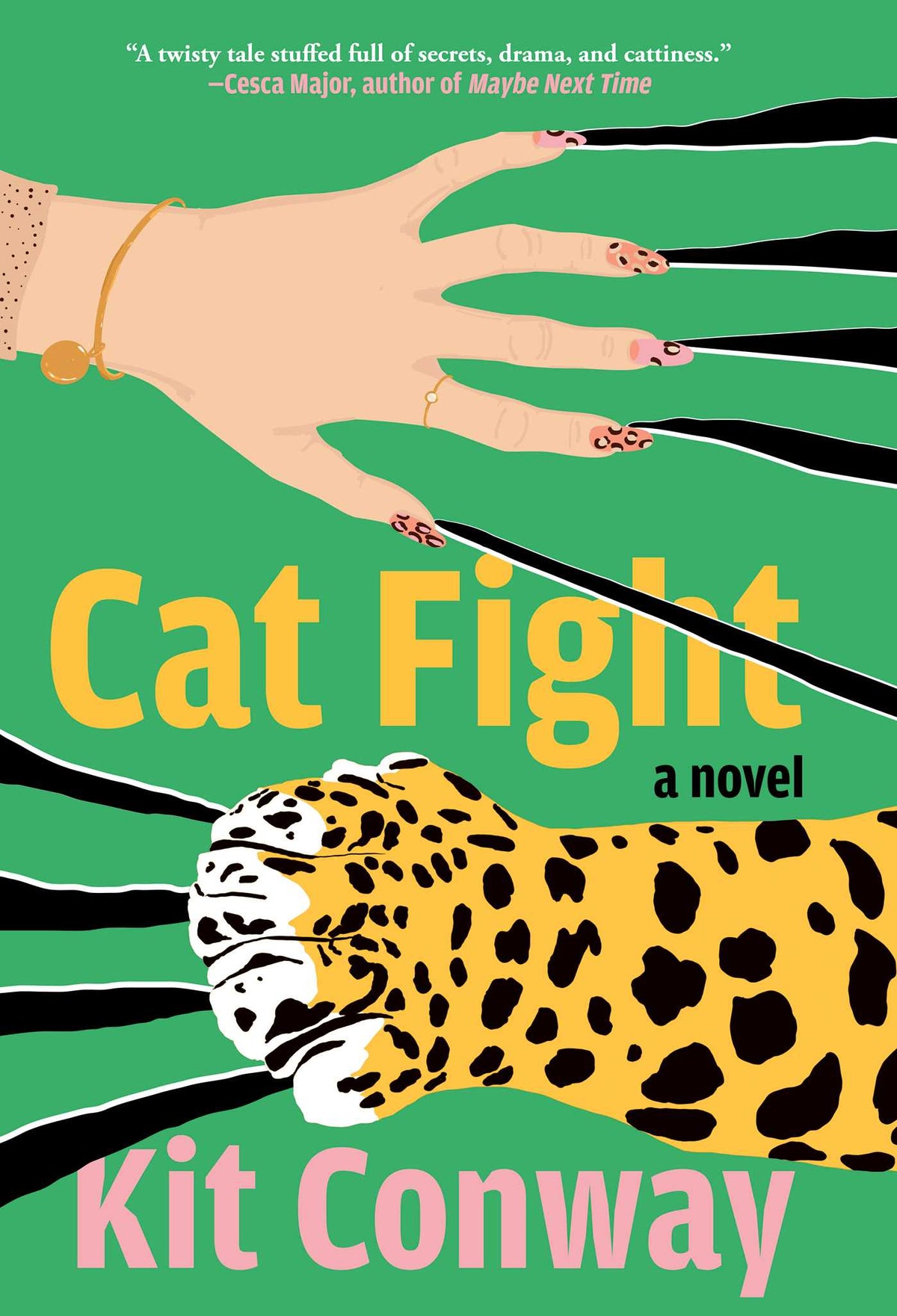 Cat Fight
