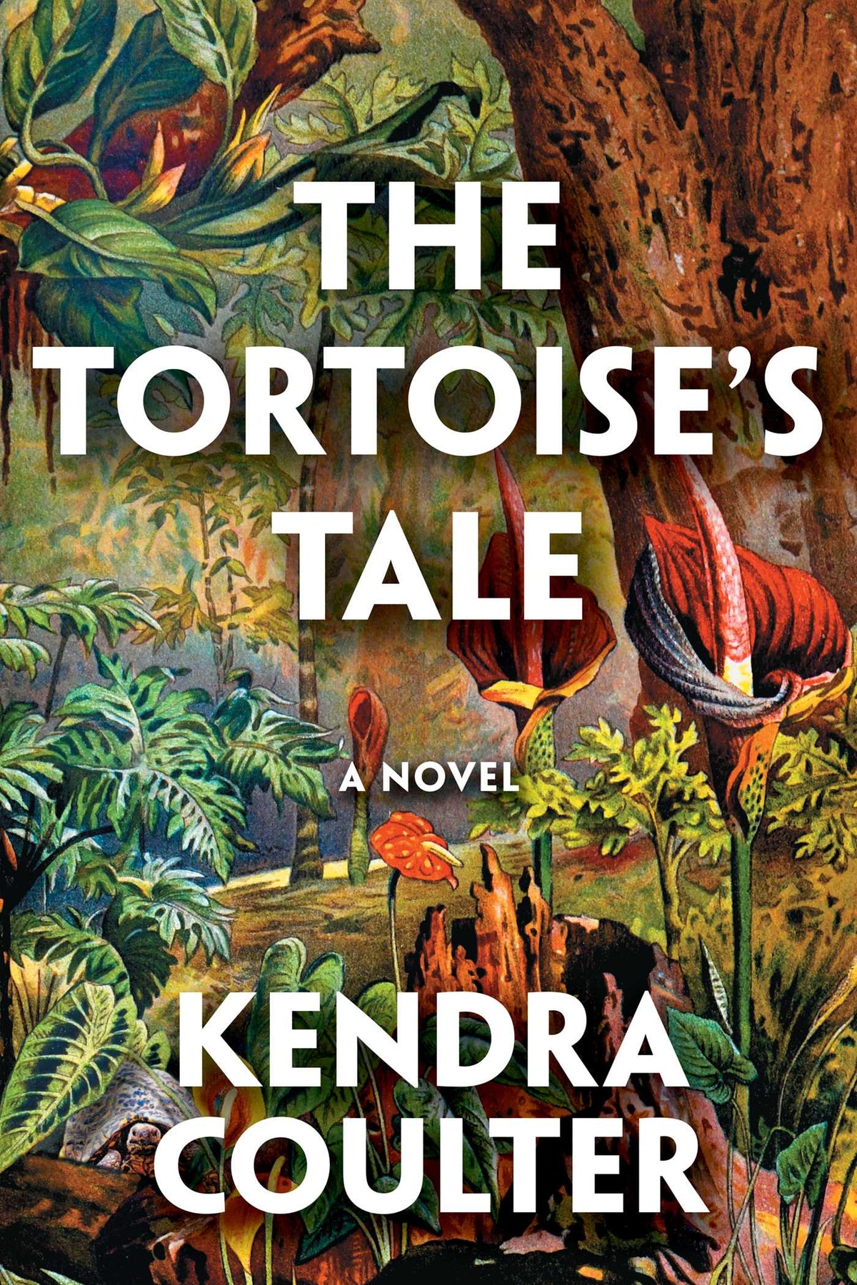 Tortoise's Tale: A Novel