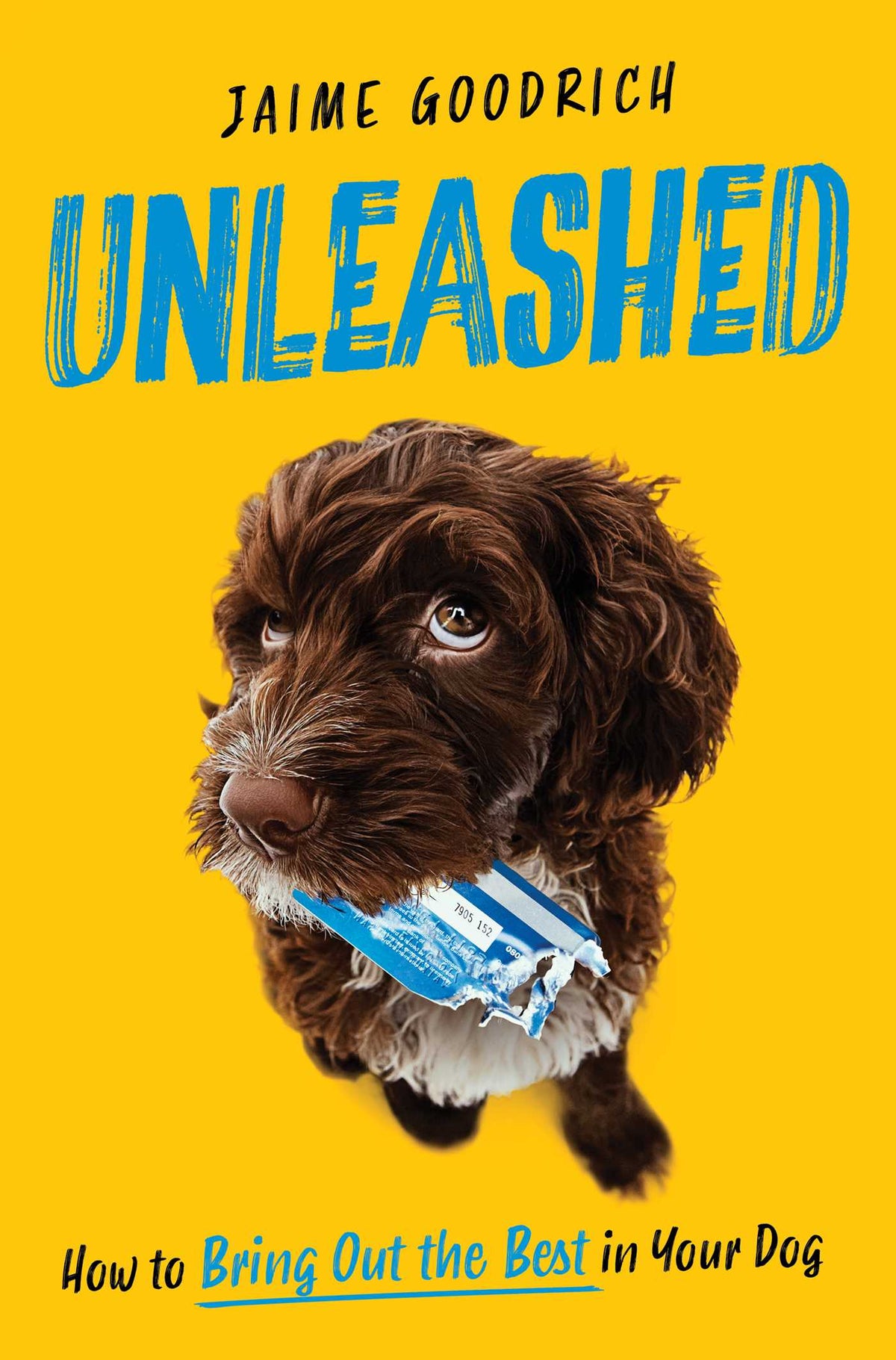 Unleashed