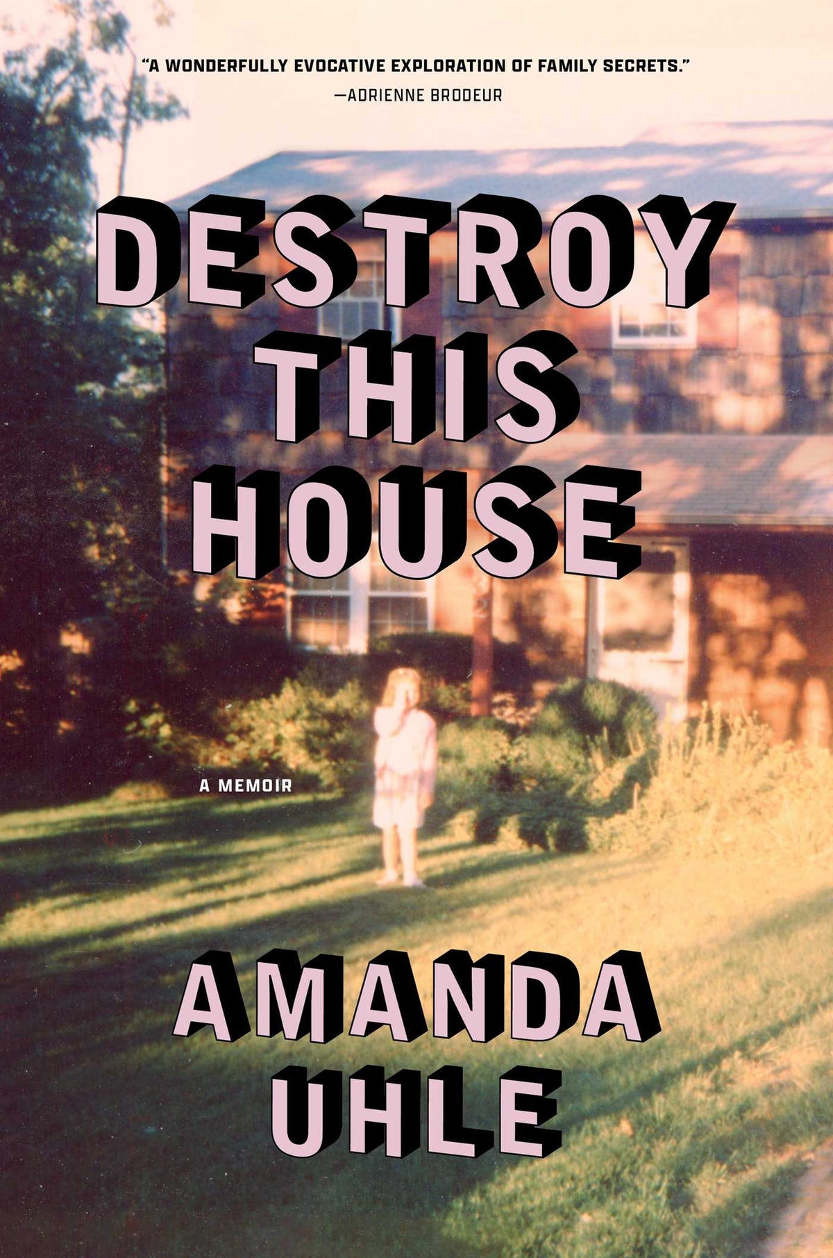 Destroy This House
