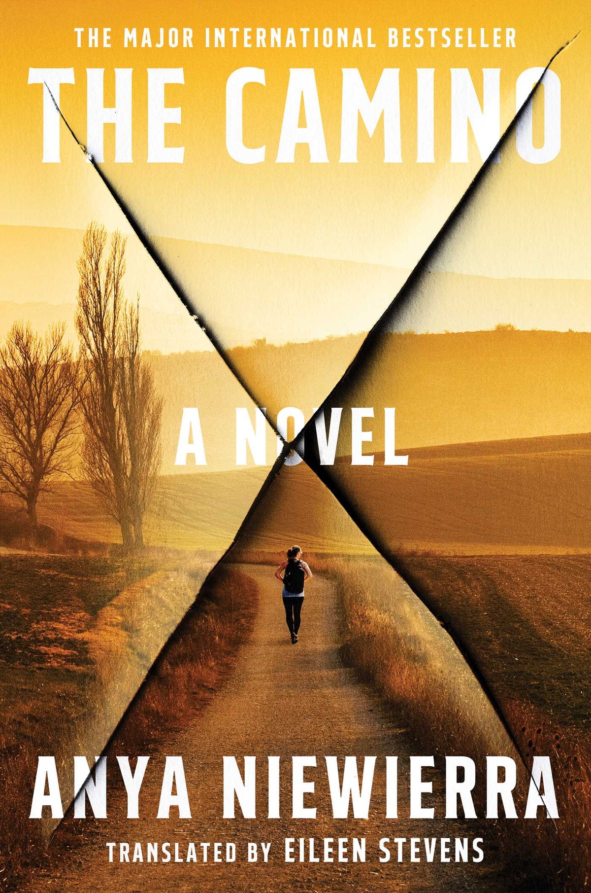 Camino: A Novel