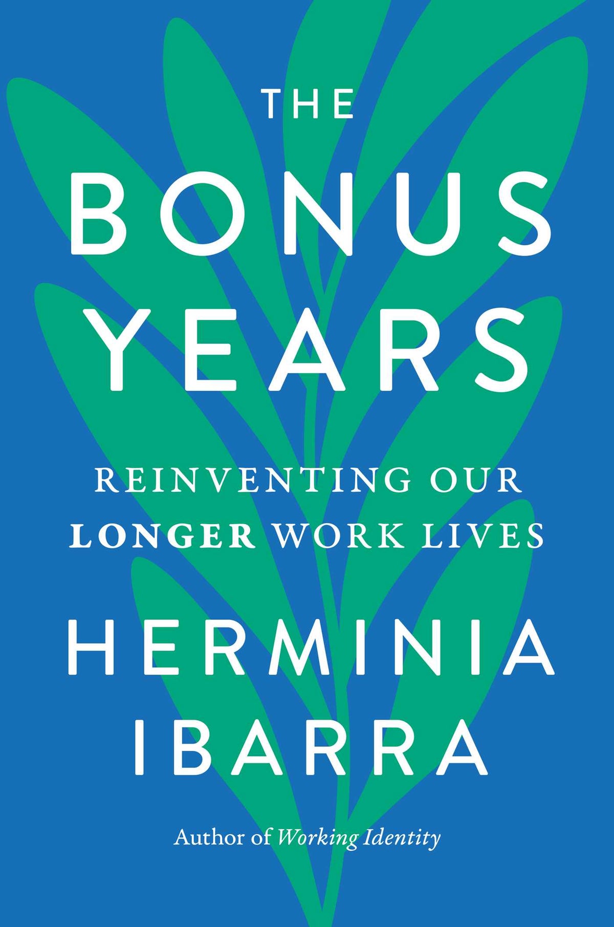 Bonus Years: Reinventing Our Longer Work Lives