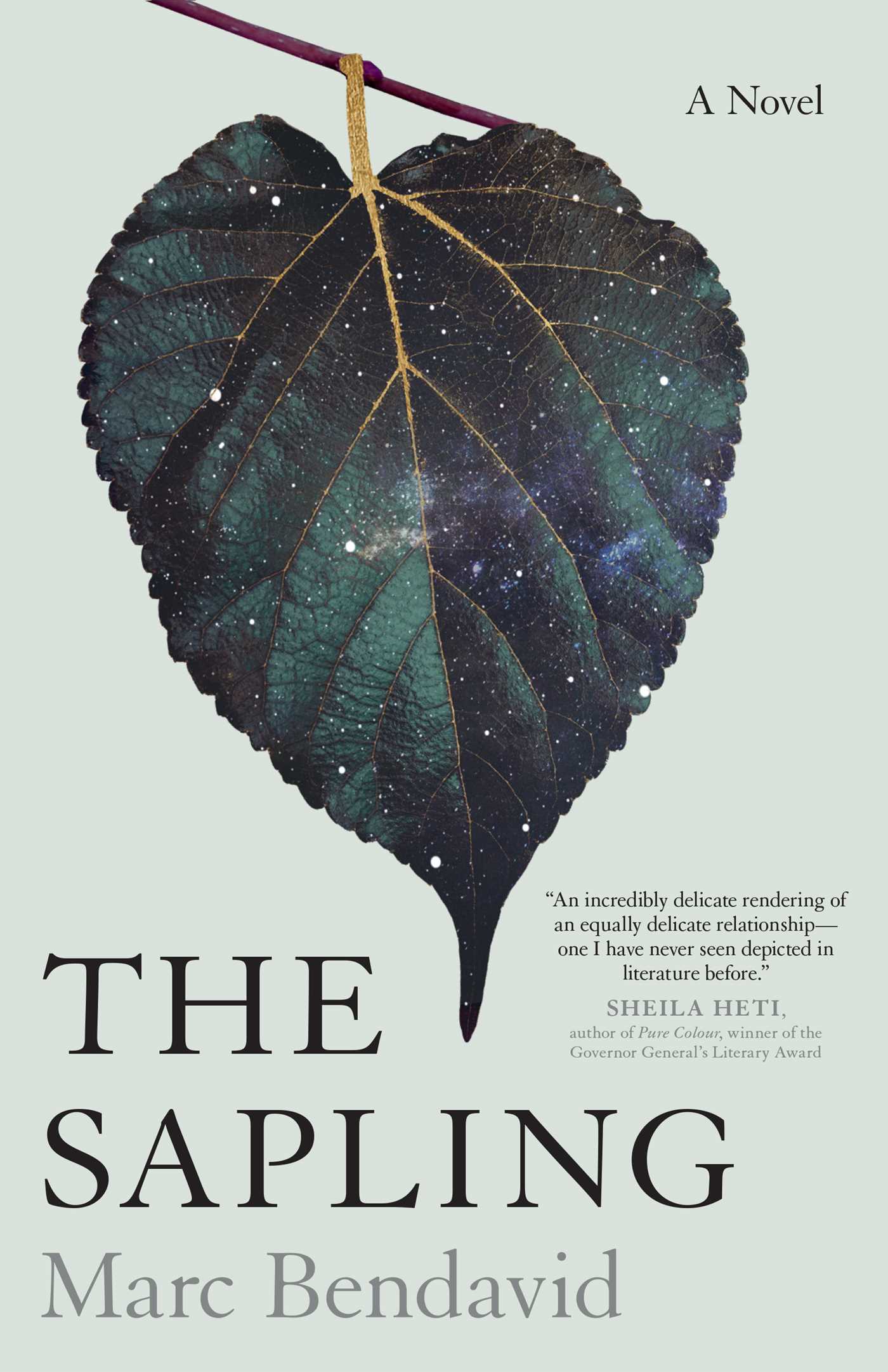 Sapling: A Novel