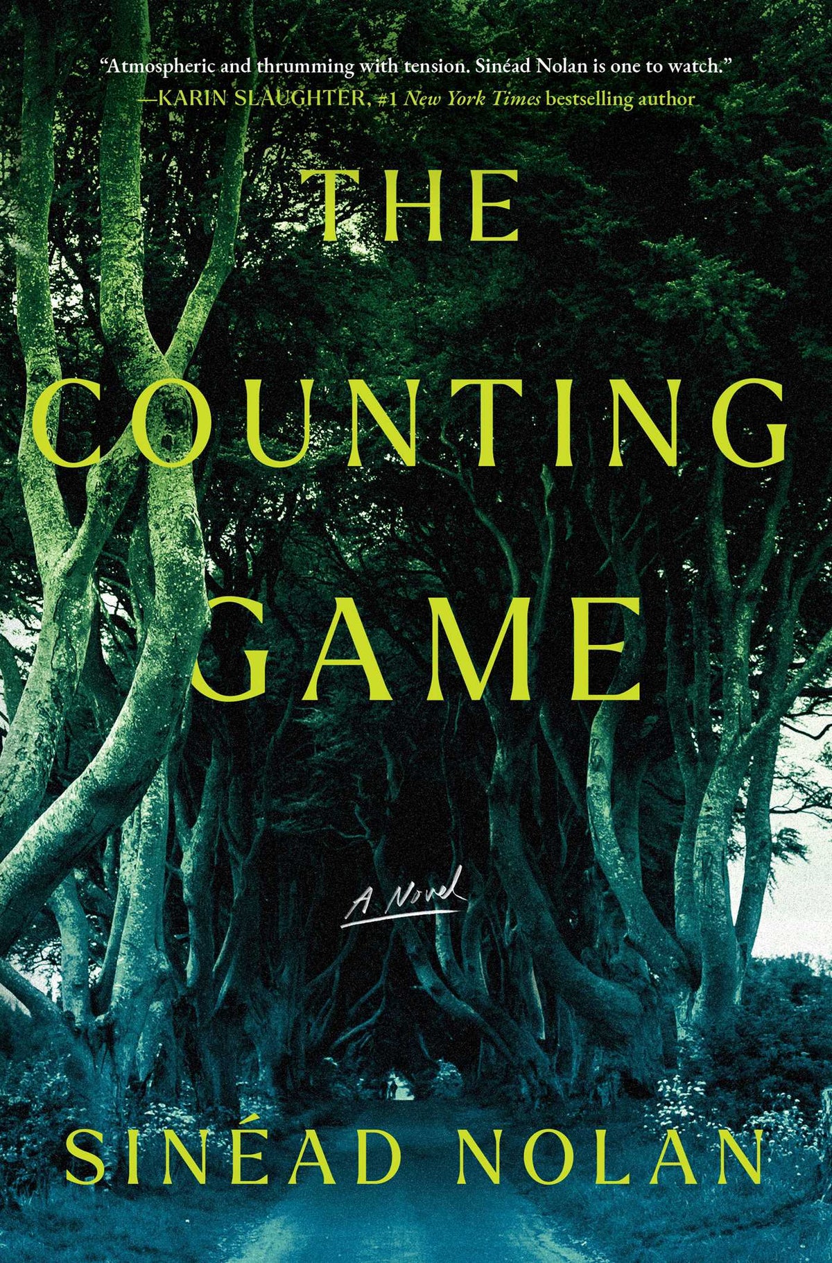 Counting Game: A Novel