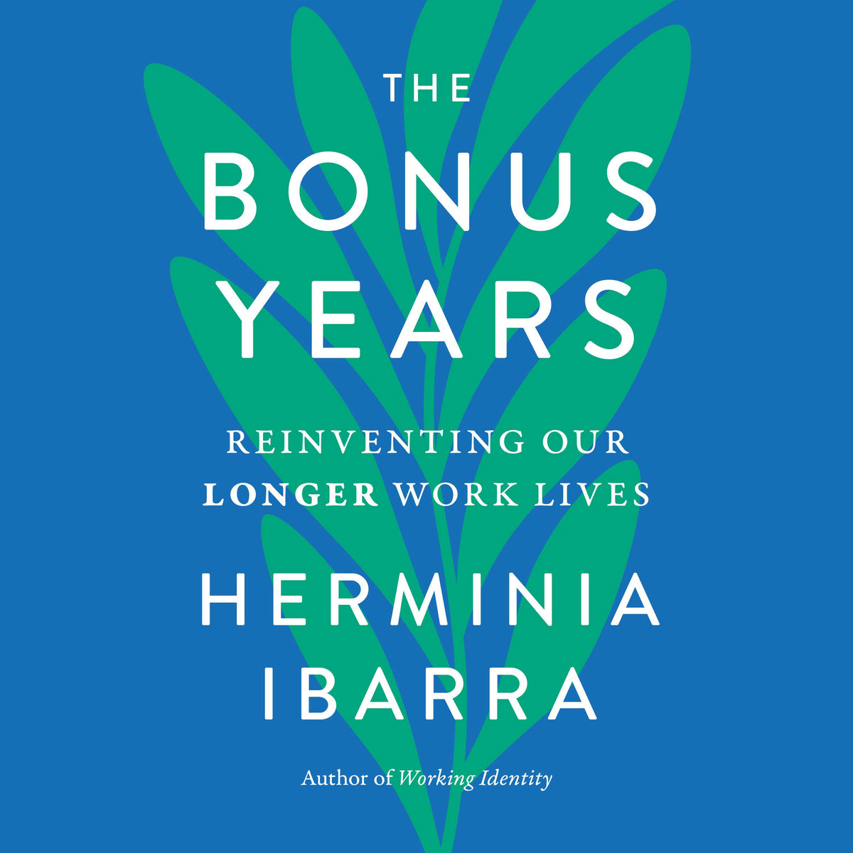 Bonus Years: Reinventing Our Longer Work Lives