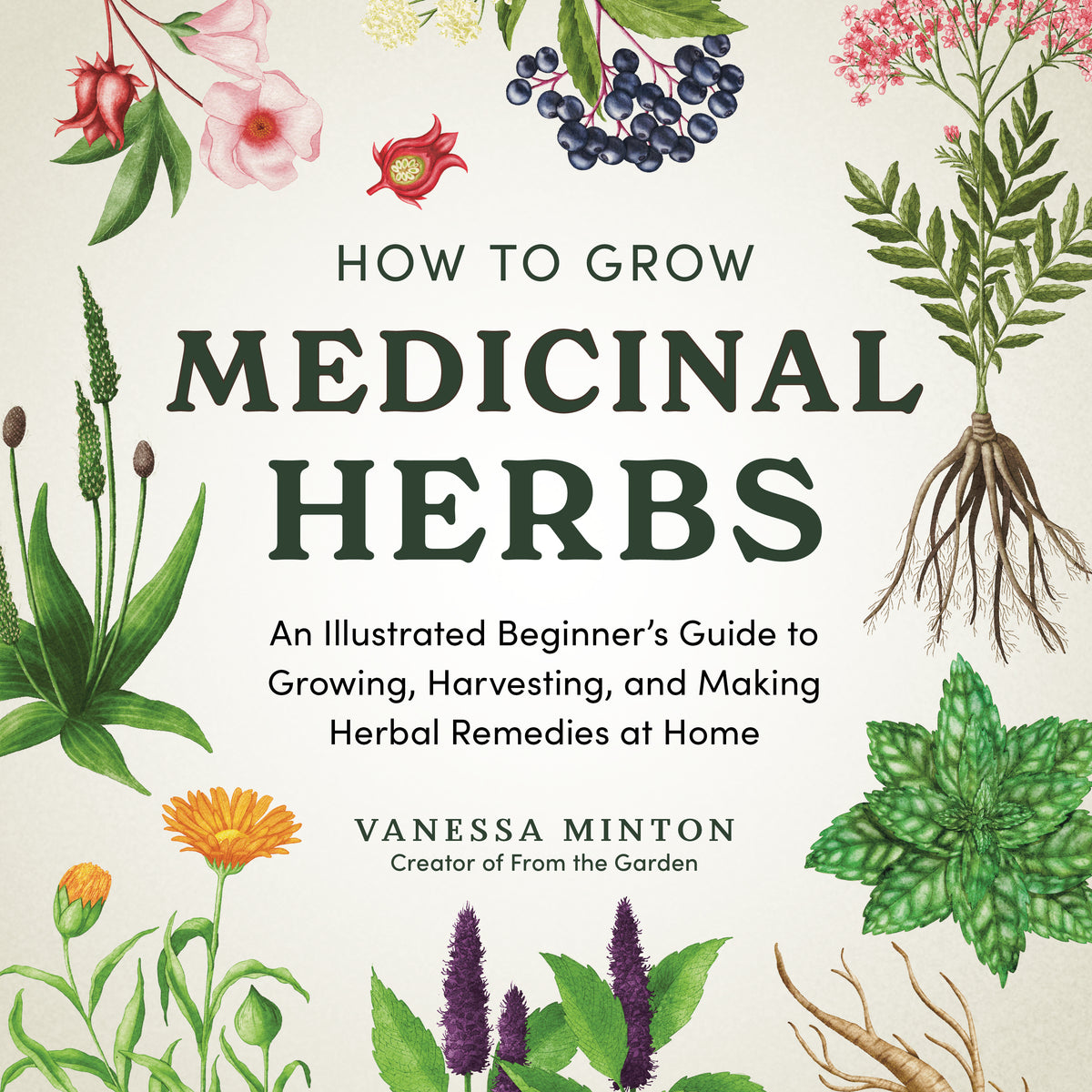 How to Grow Medicinal Herbs