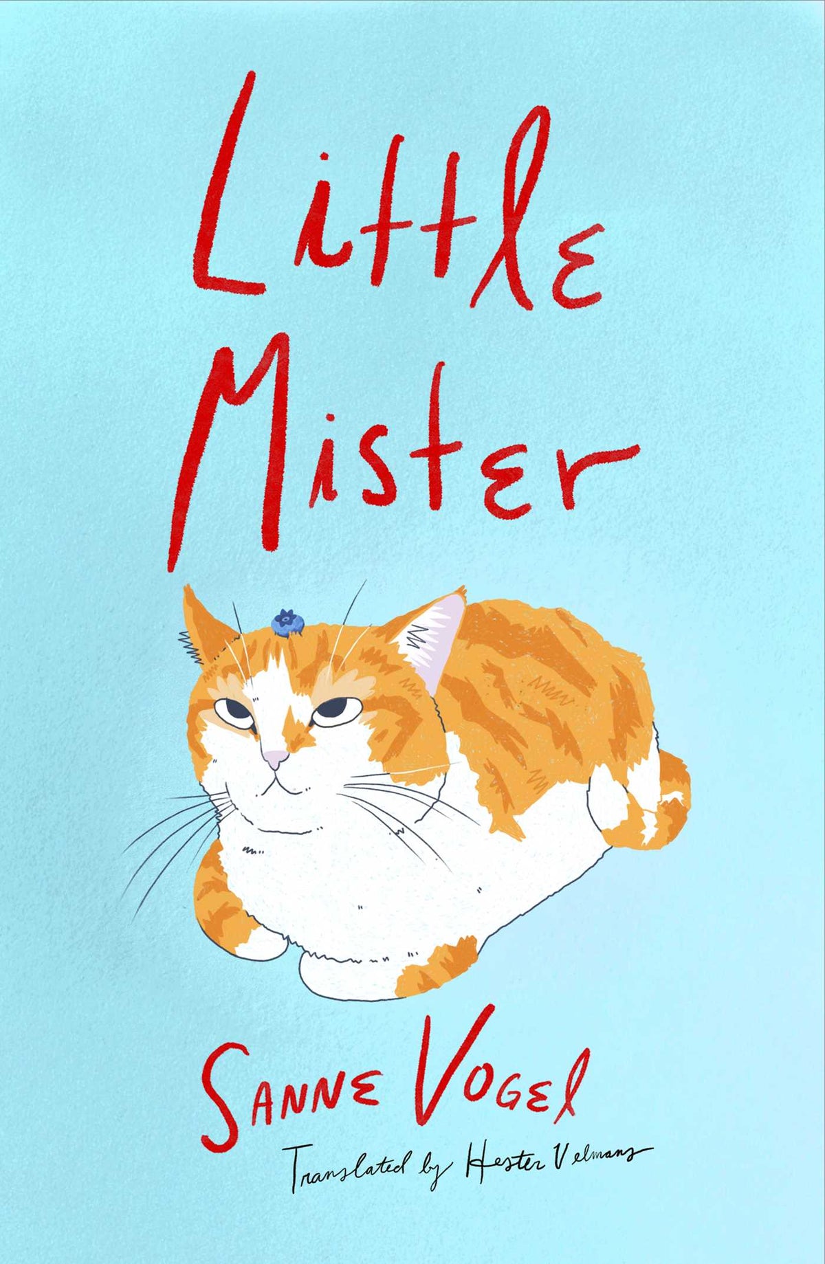 Little Mister
