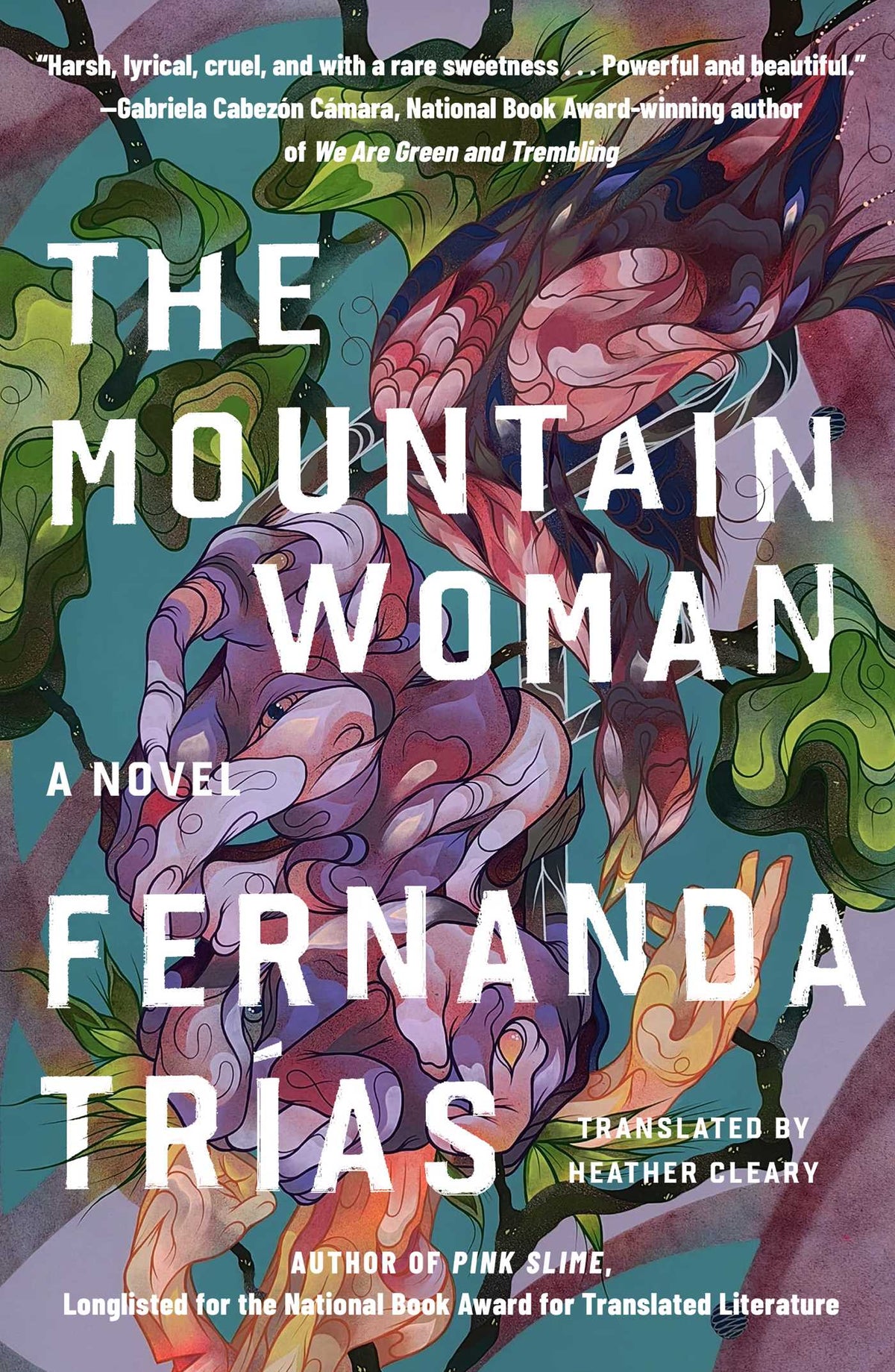 Mountain Woman (t): A Novel