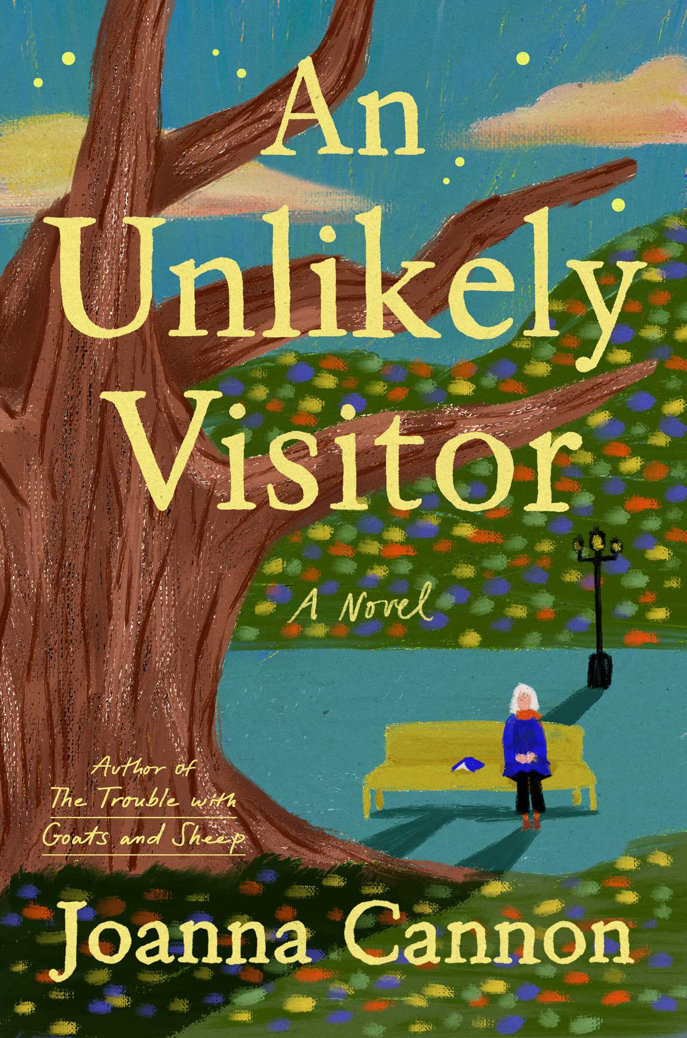 Unlikely Visitor: A Novel