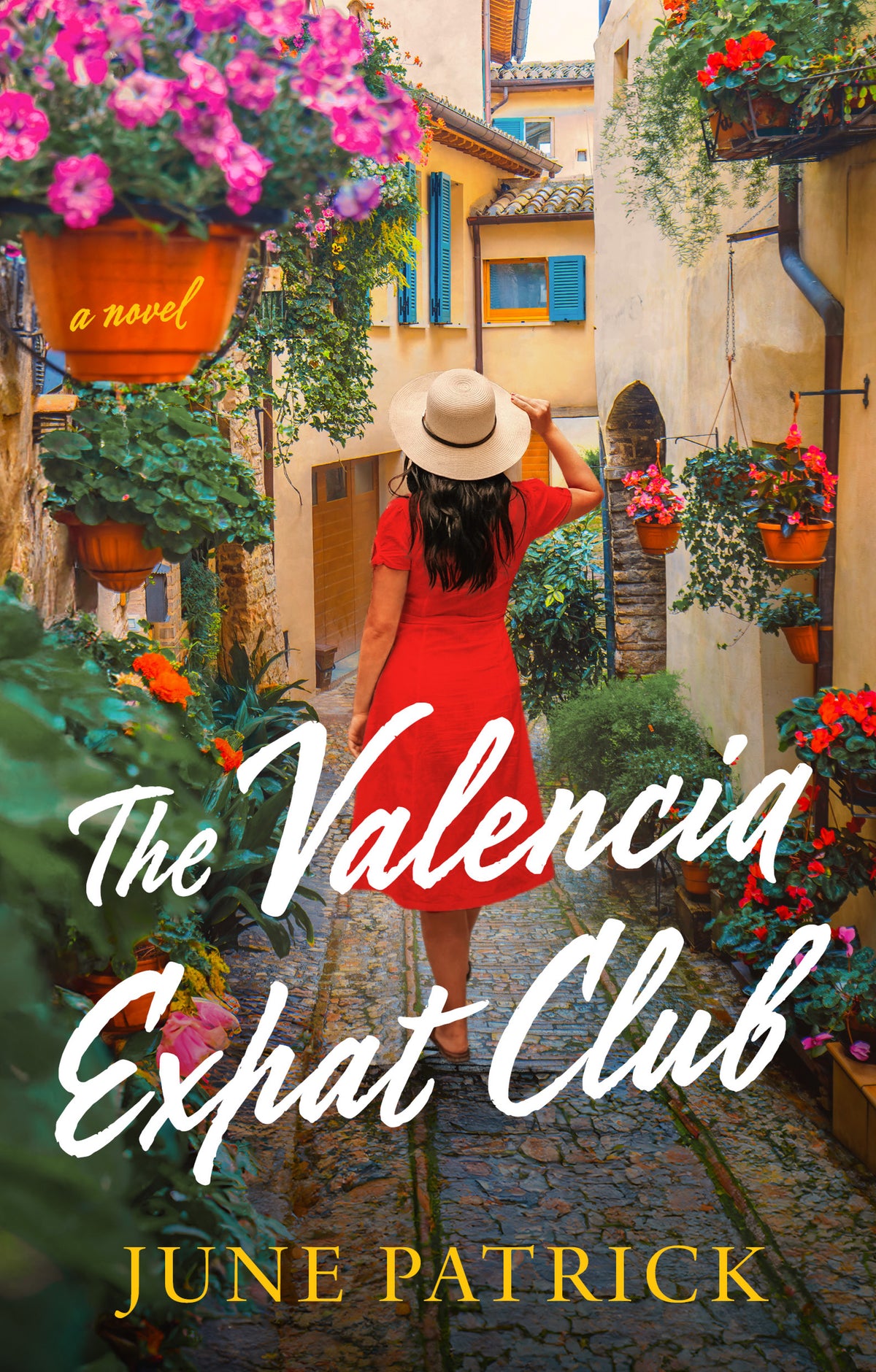 Valencia Expat Club: A Novel