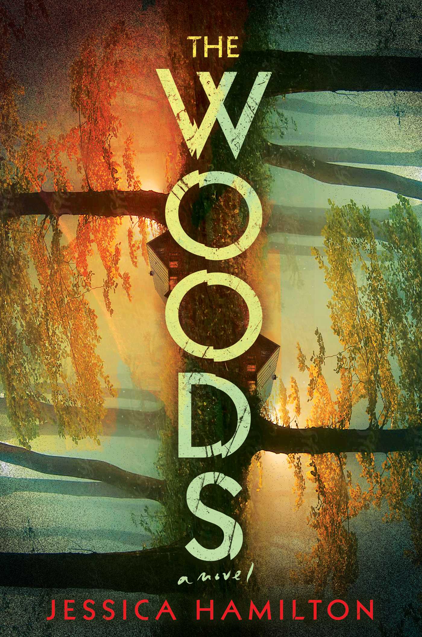 Woods: A Novel