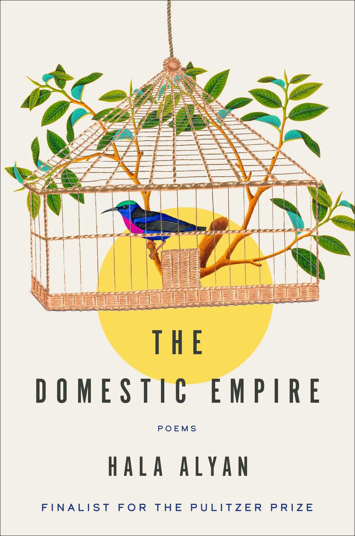Domestic Empire: Poems