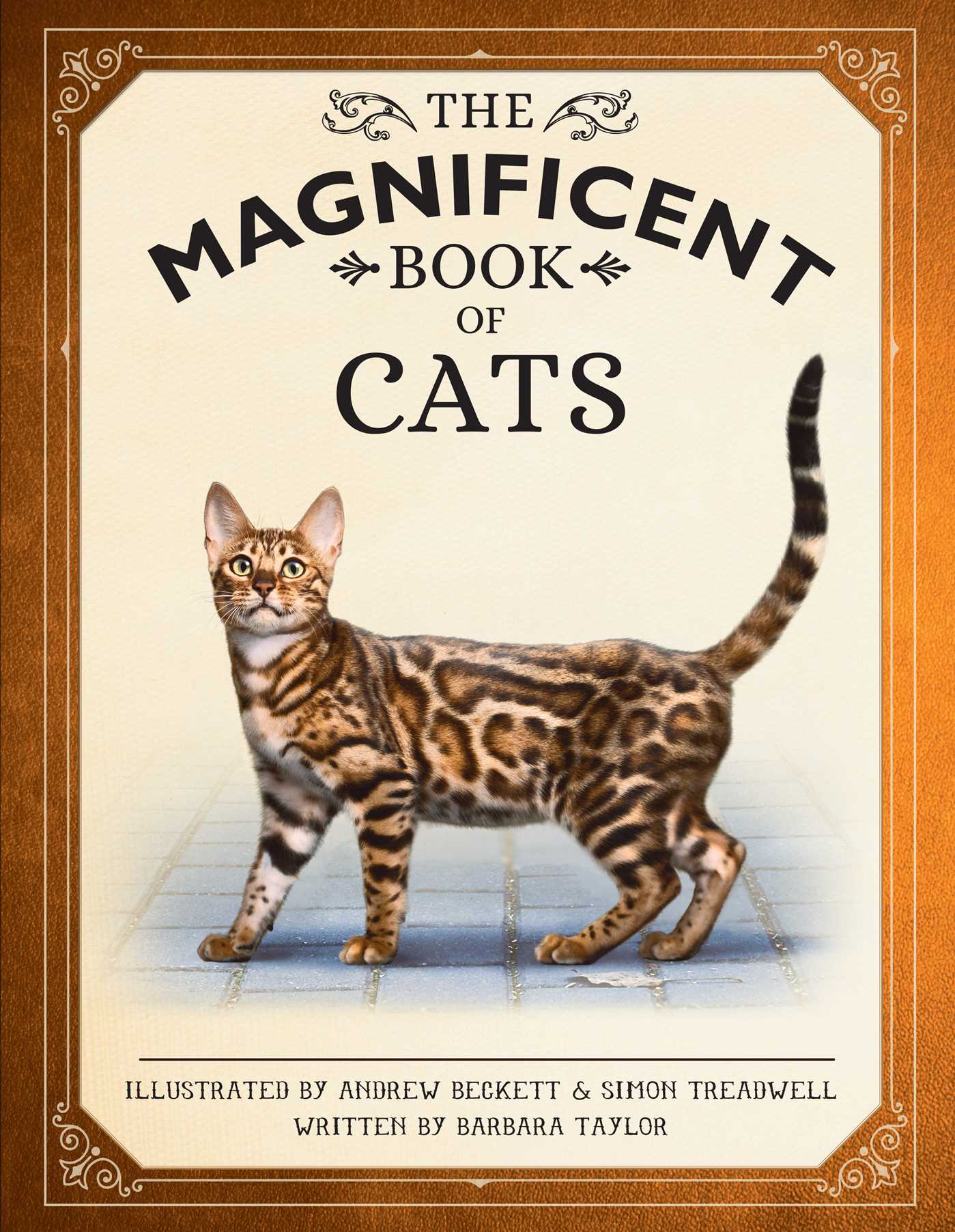 Magnificent Book of Cats: (Kids Books About Cats, Middle Grade Cat Books, Books About Animals)