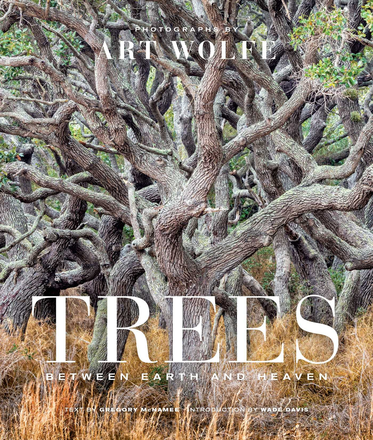 Trees (Gift Edition)