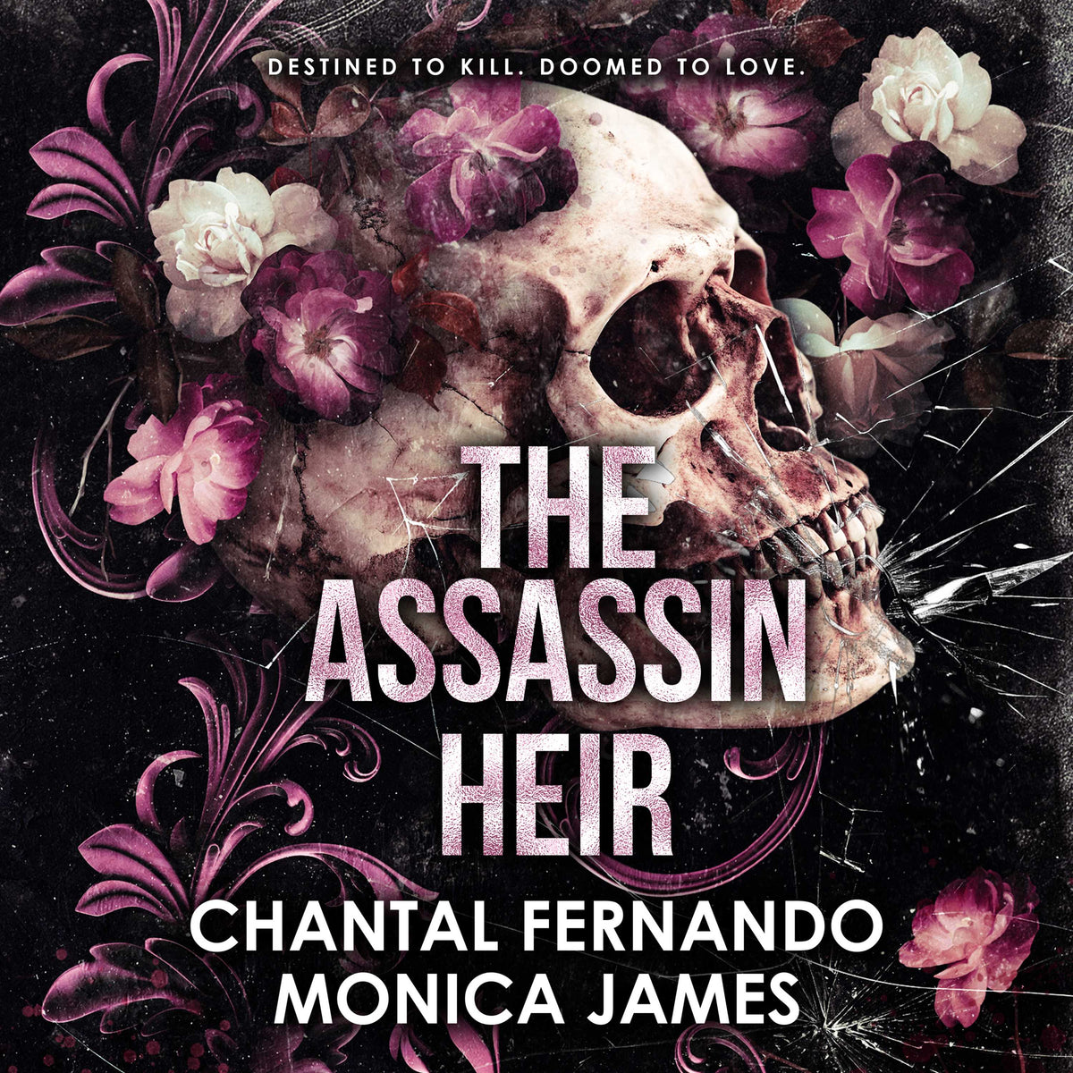 Assassin Heir