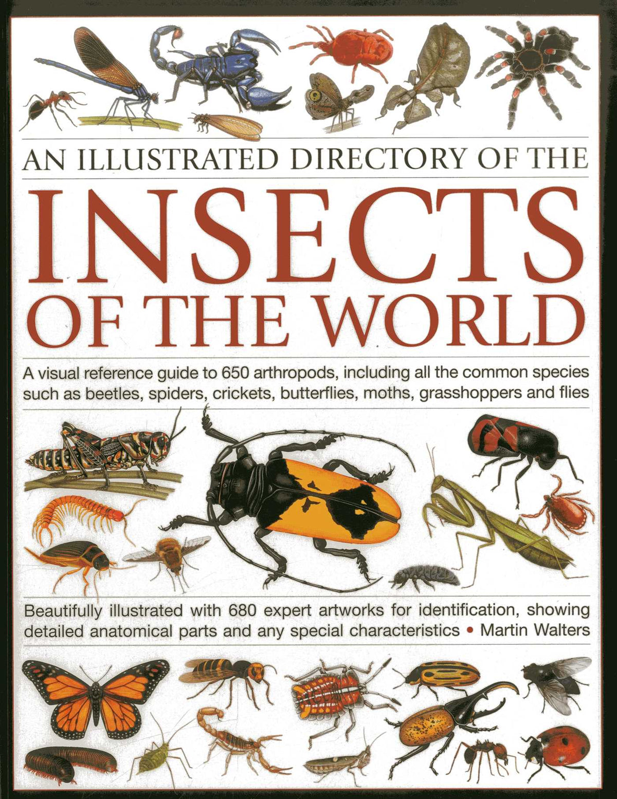 Illustrated Directory of the Insects of the World: A visual reference guide to 650 arthropods, including all the common insect species such as beetles, spiders, butterflies, moths, grasshoppers and flies, beautifully illustrated with 680 expert artworks