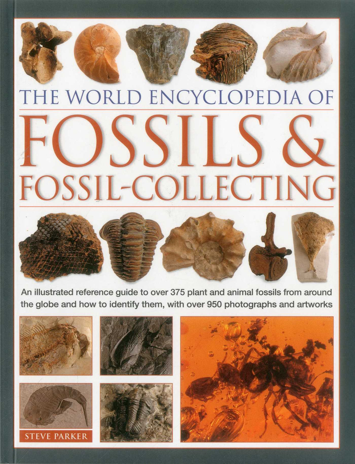 World Encyclopedia of Fossils & Fossil-Collecting:: An Illustrated Reference Guide To Over 375 Plant And Animal Fossils From Around The Globe And How To Identify Them, With Over 950 Photographs And Artworks