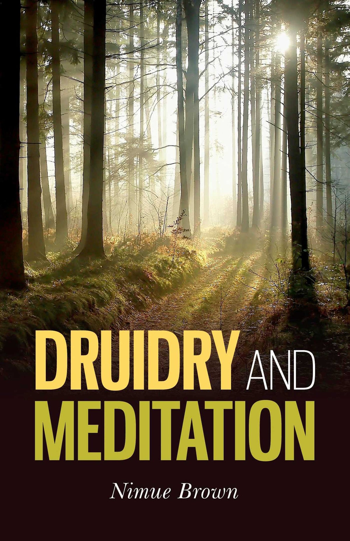 Druidry and Meditation