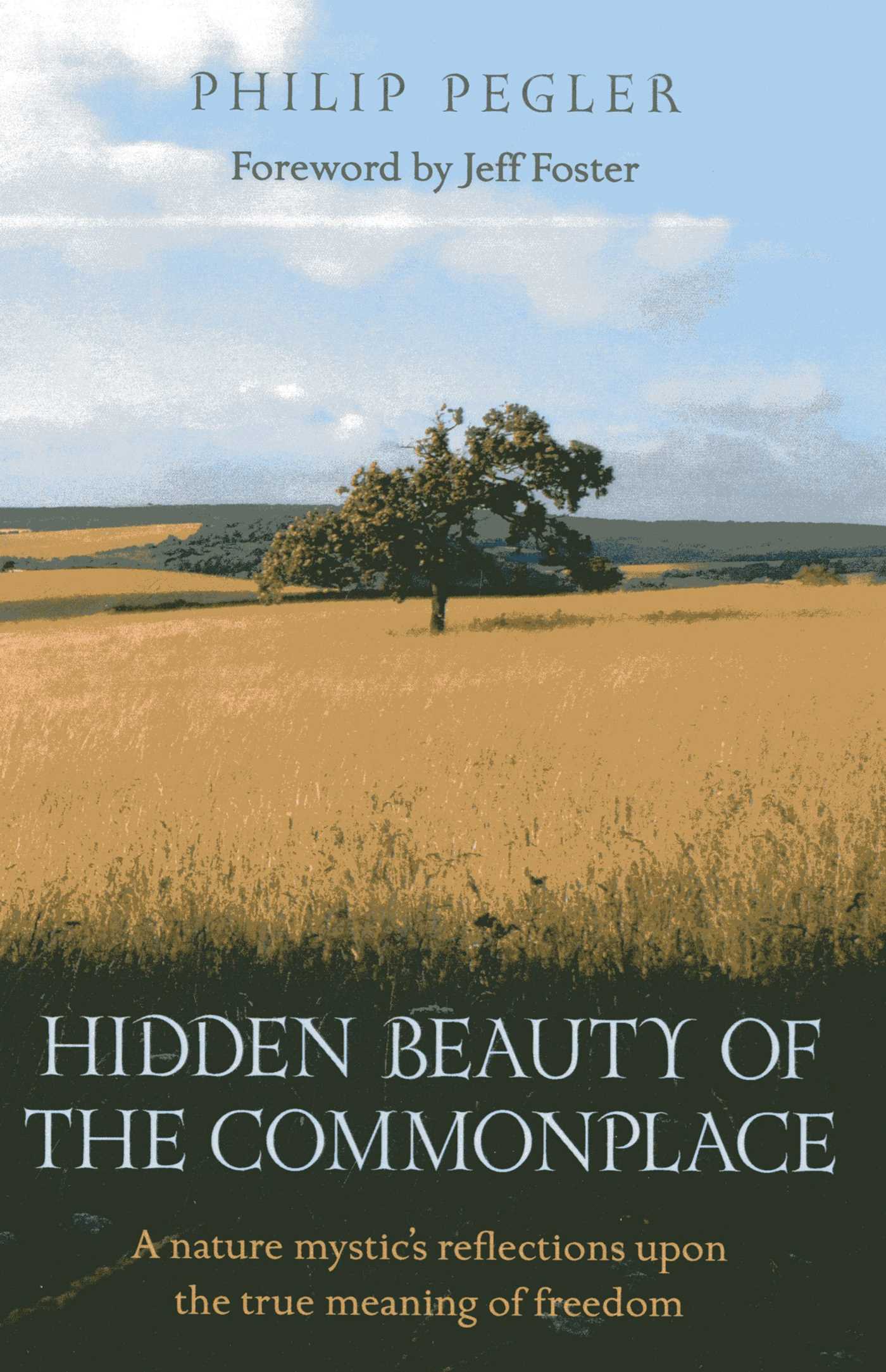Hidden Beauty of the Commonplace