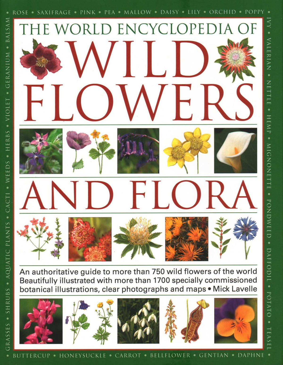 World Encyclopedia of Wild Flowers & Flora: An Authoritative Guide to More Than 750 Wild Flowers of the World. Beautifully Illustrated with More Than 1700 Specially Commissioned Botanical Illustrations, Clear Photographs and Maps.