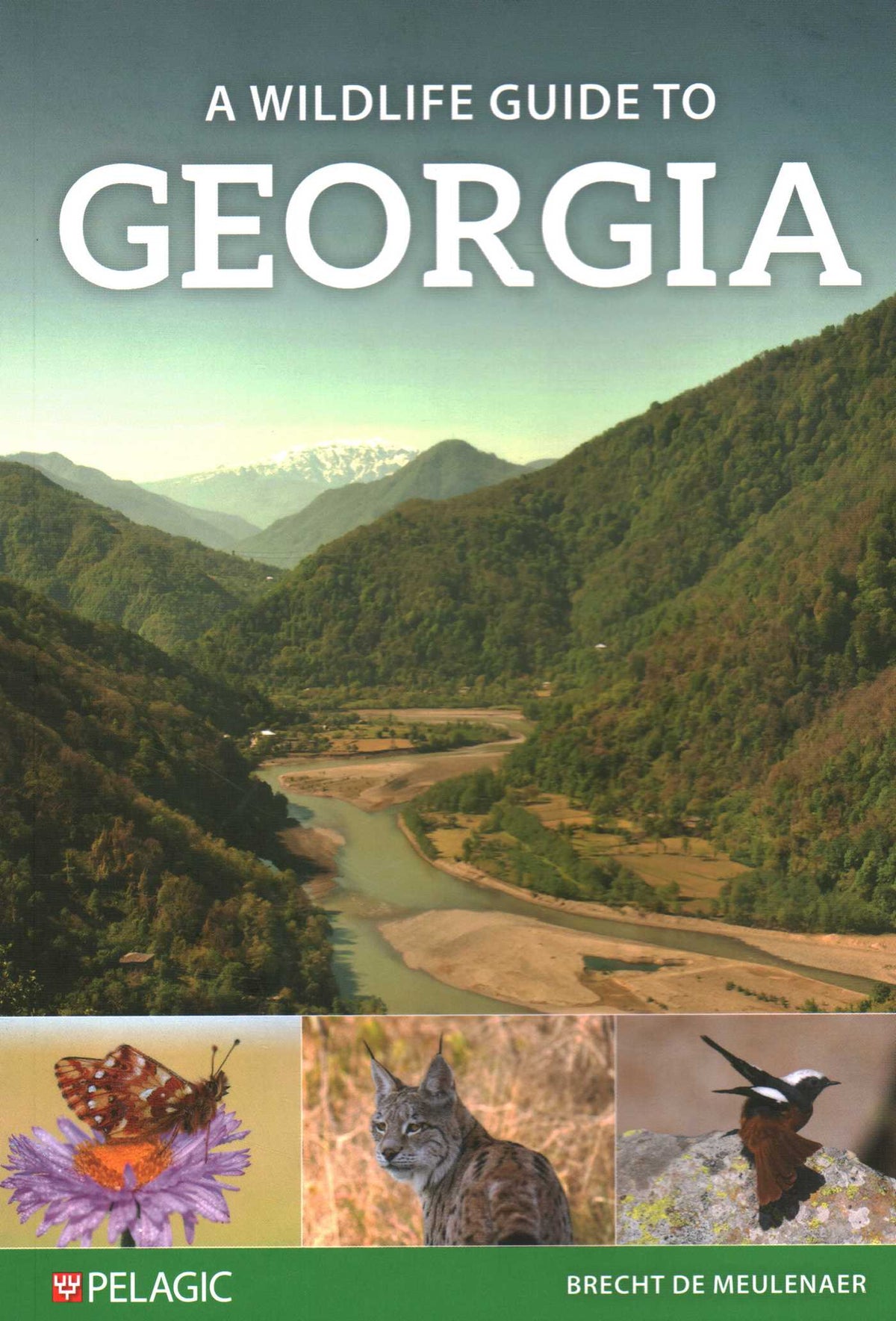 Wildlife Guide to Georgia