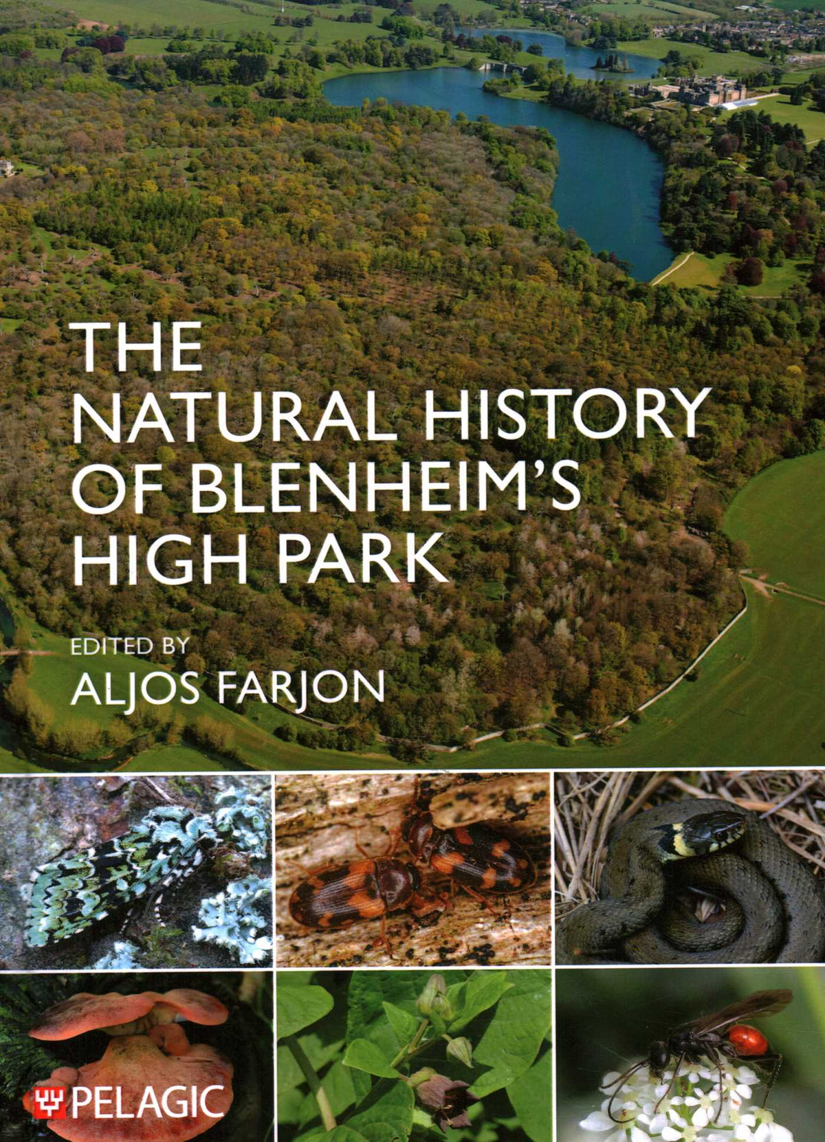Natural History of Blenheim's High Park
