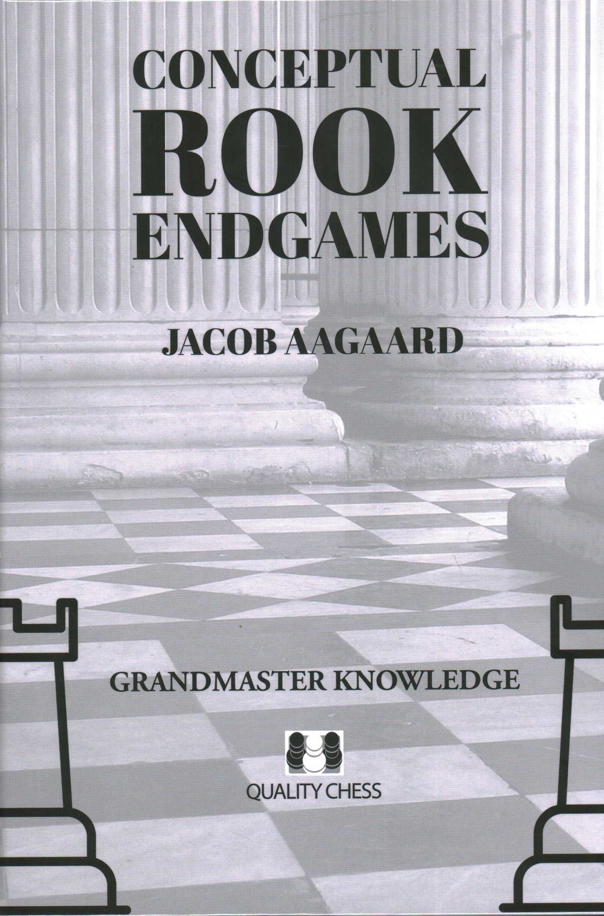 Conceptual Rook Endgames