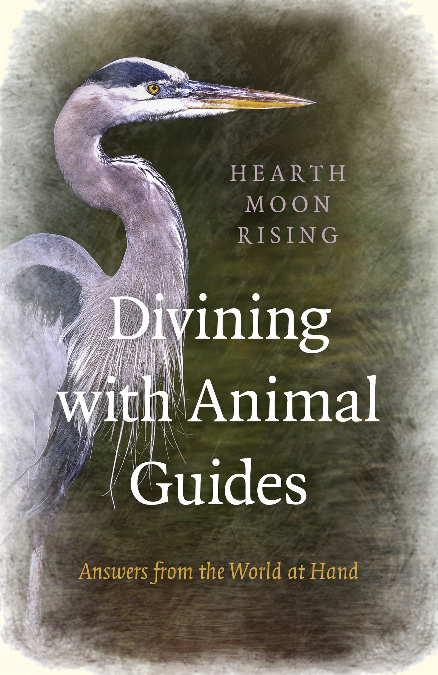Divining with Animal Guides: Answers from the World at Hand