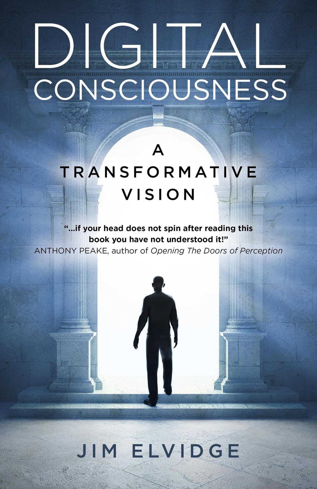 Digital Consciousness: A Transformative Vision