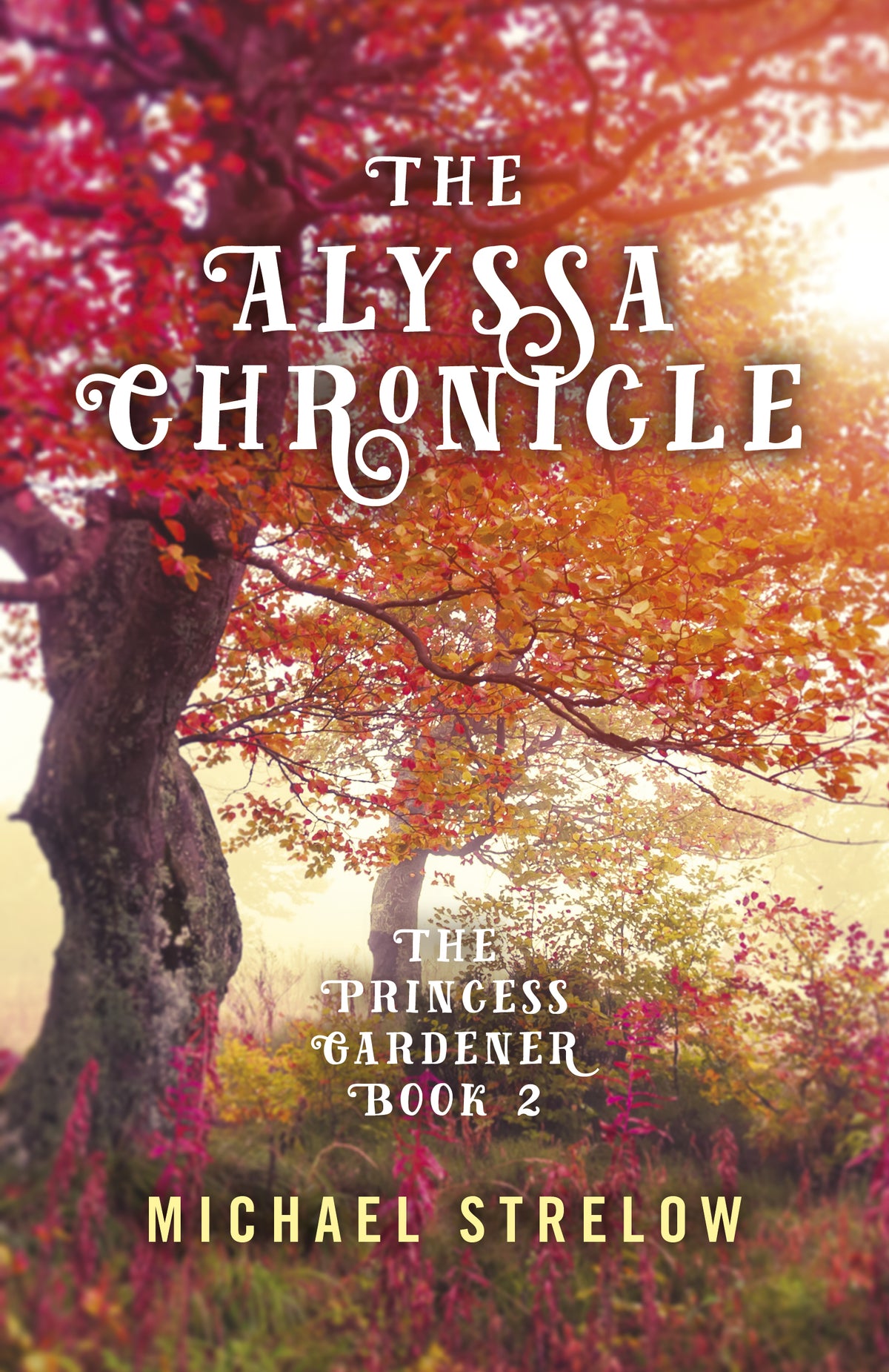 Alyssa Chronicle: The Princess Gardener, Book II