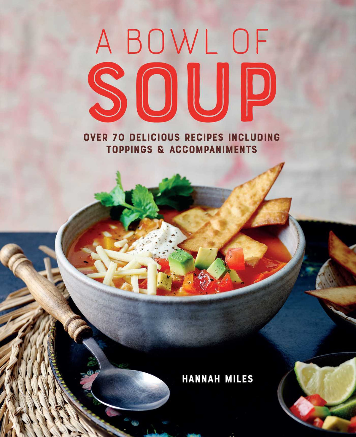 Bowl of Soup: Over 70 delicious recipes including toppings & accompaniments
