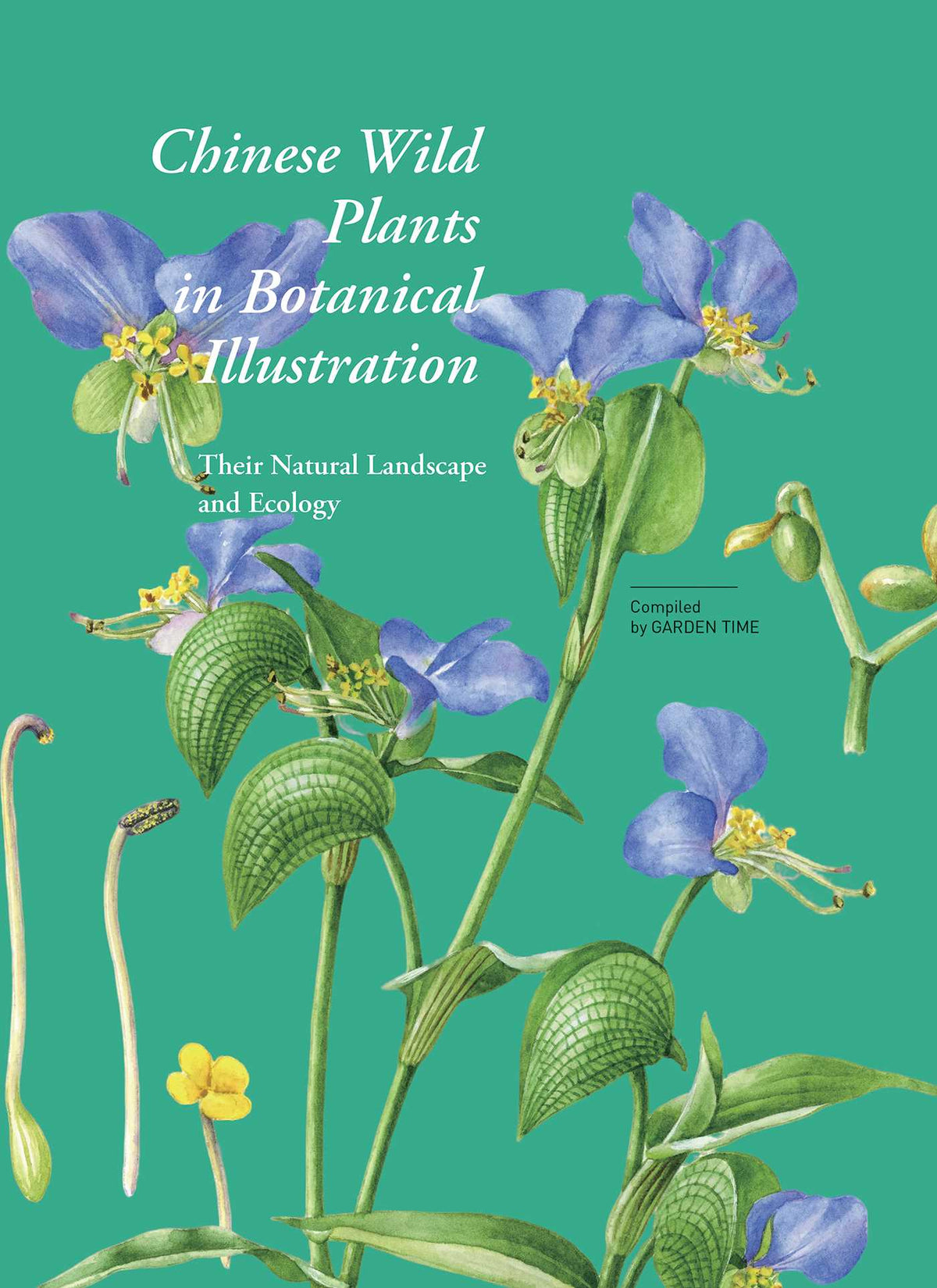 Chinese Wild Plants in Botanical Illustration 1