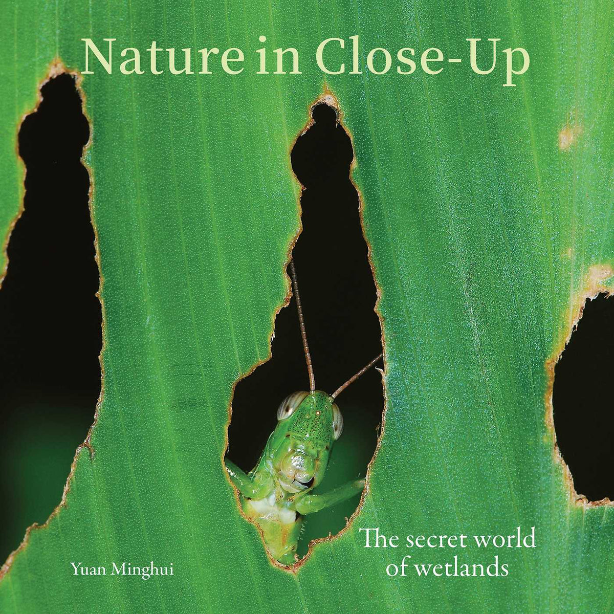 Nature in Close Up