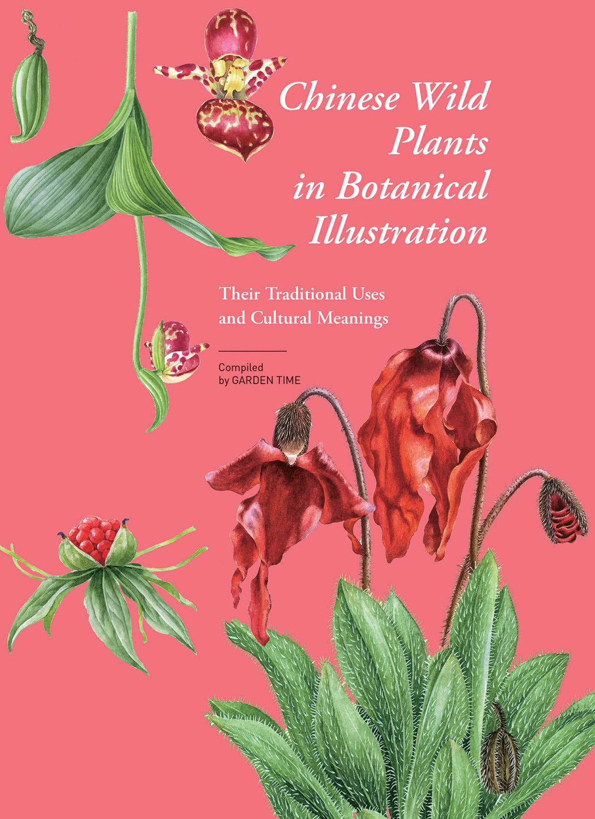 Chinese Wild Plants in Botanical Illustration 2