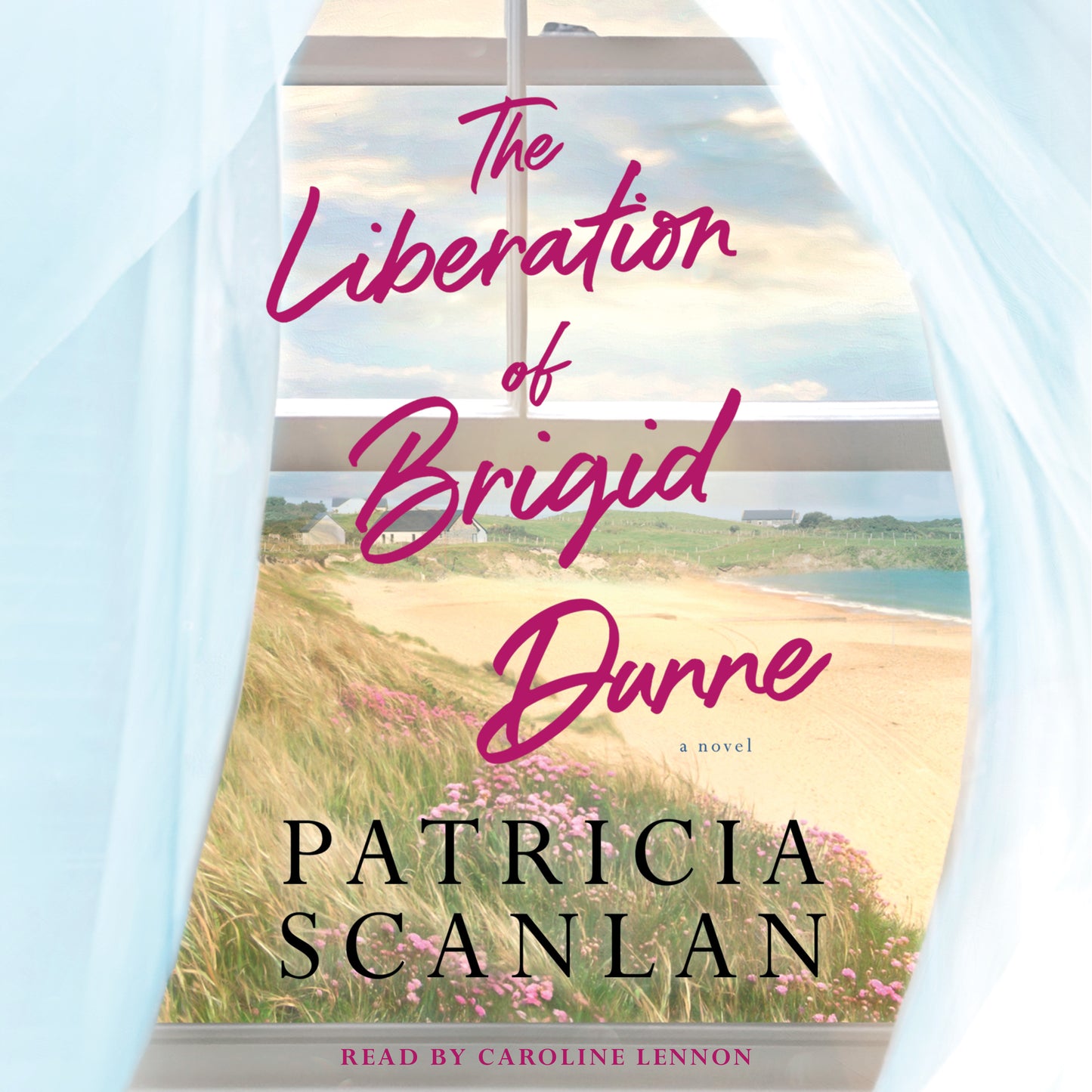 Liberation of Brigid Dunne: A Novel