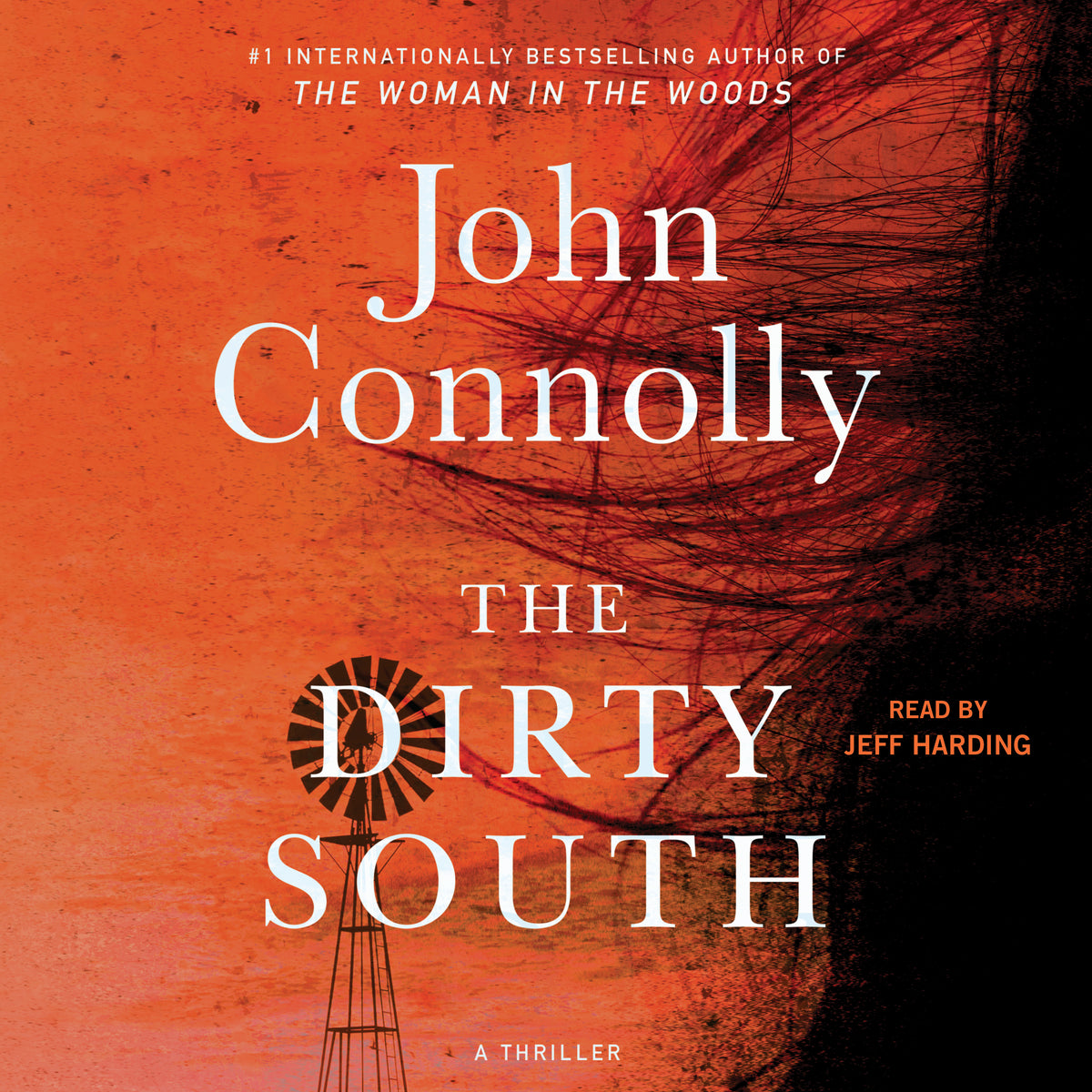 Dirty South: A Thriler