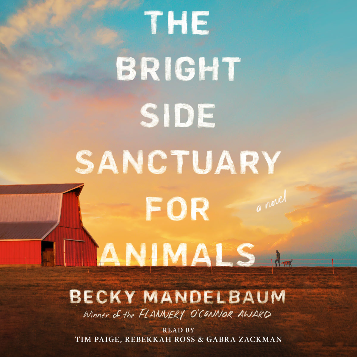 Bright Side Sanctuary for Animals: A Novel