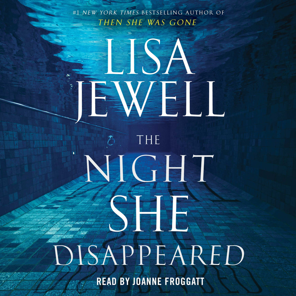 Night She Disappeared: A Novel