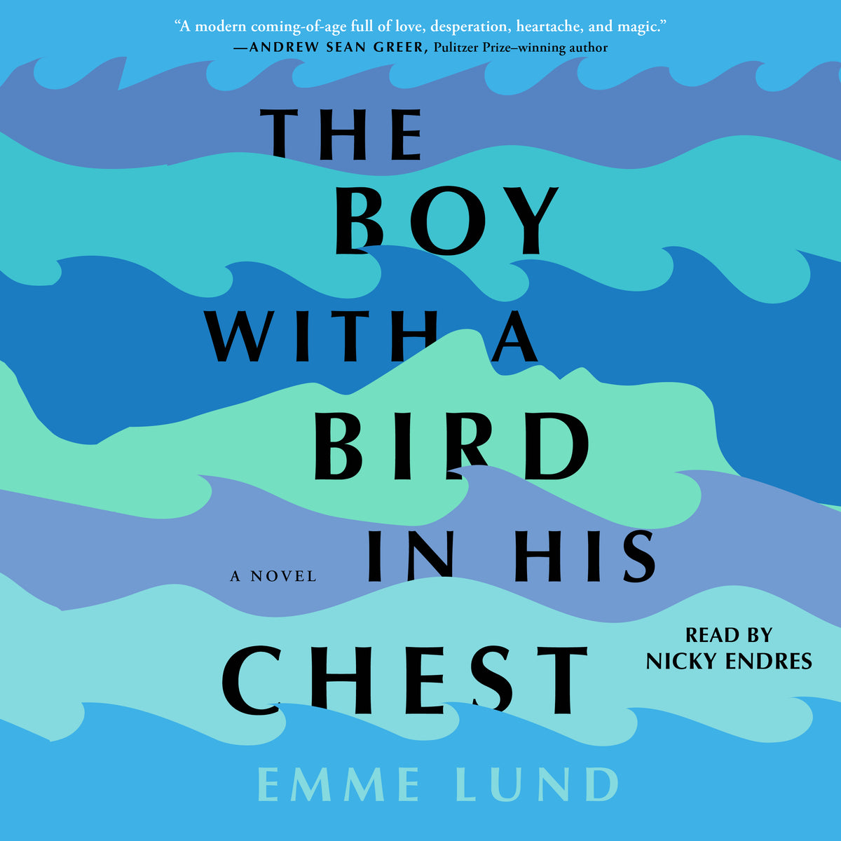 Boy with a Bird in His Chest: A Novel