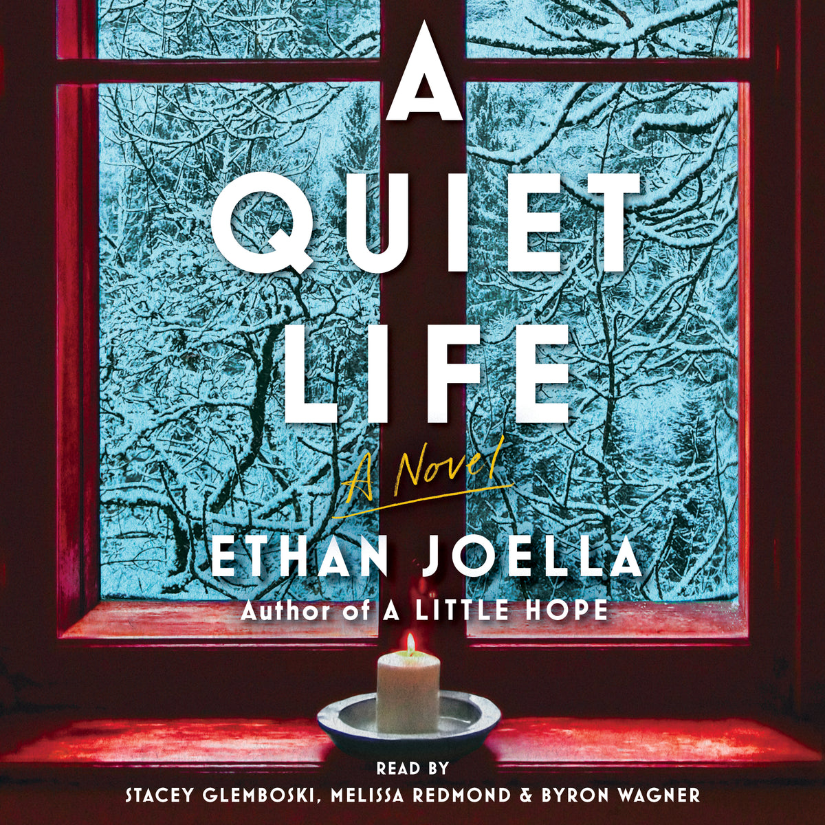 Quiet Life: A Novel